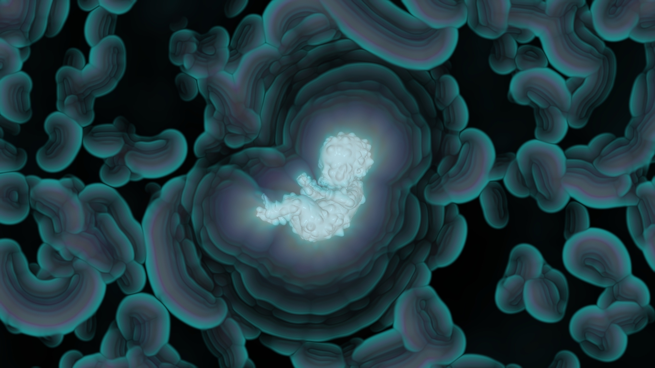ART: IVF-ET #Baby / 2022