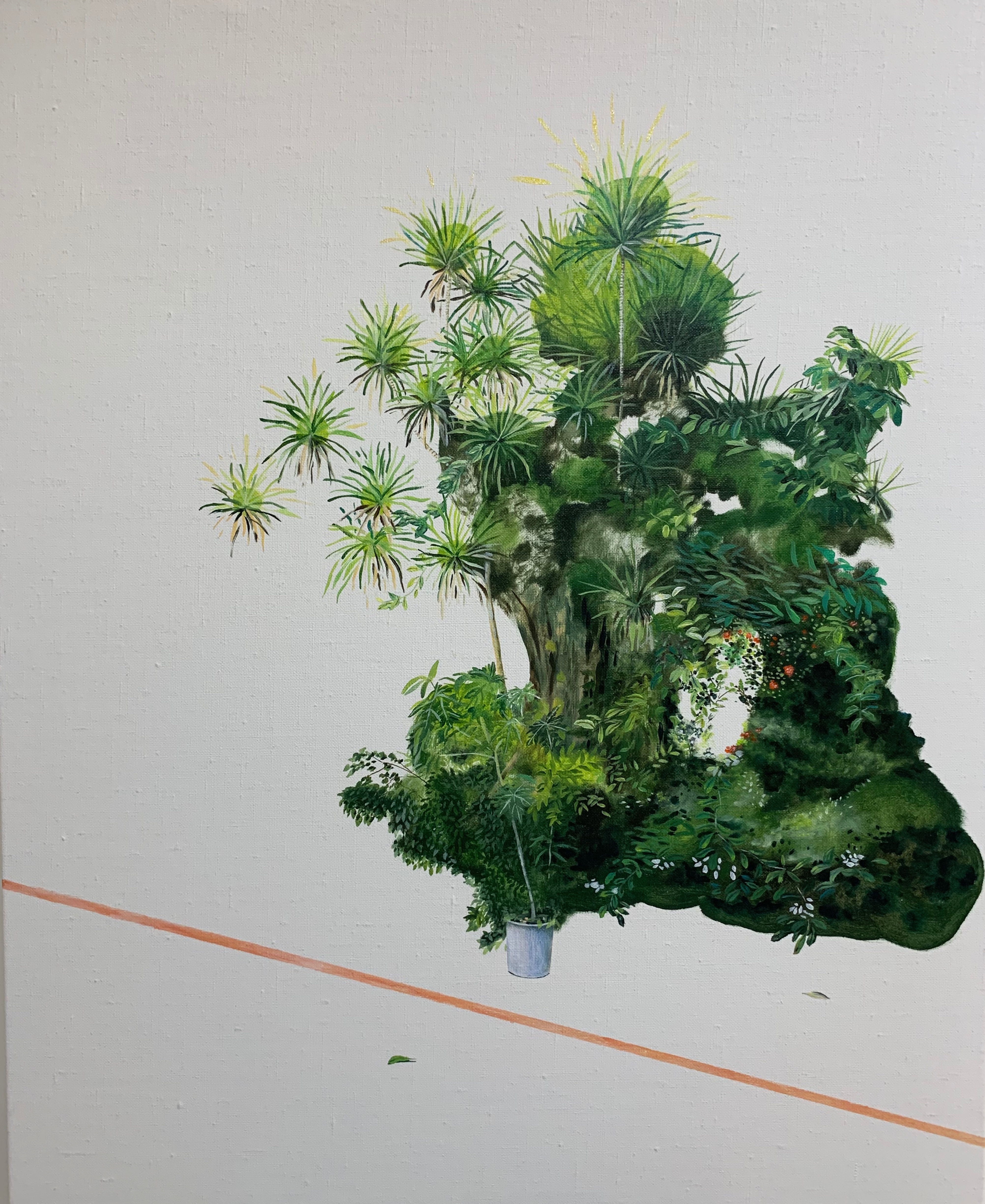 伯樂-6