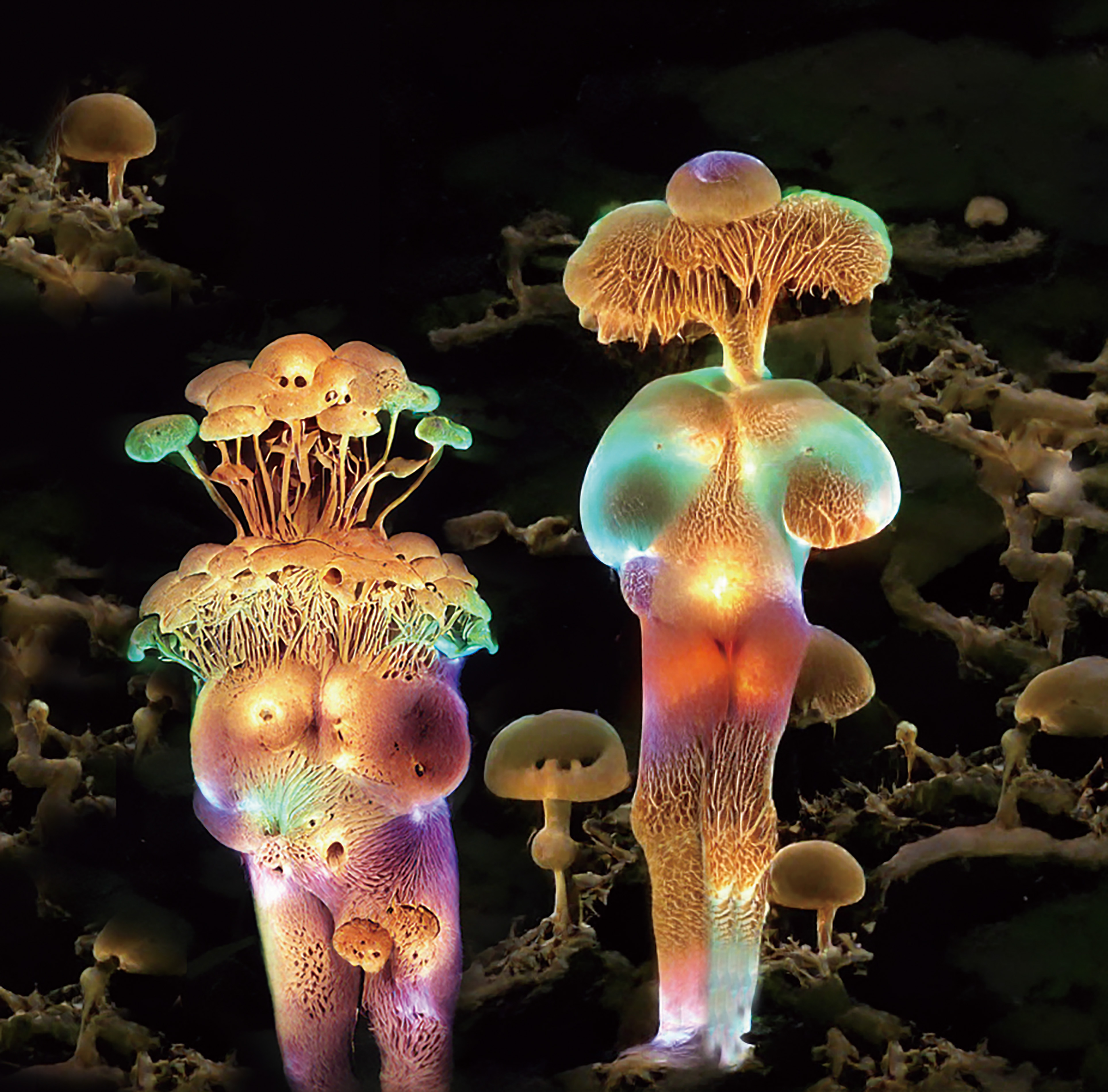 《酷兒未來》#4 人類與植物的混種/ 2022 