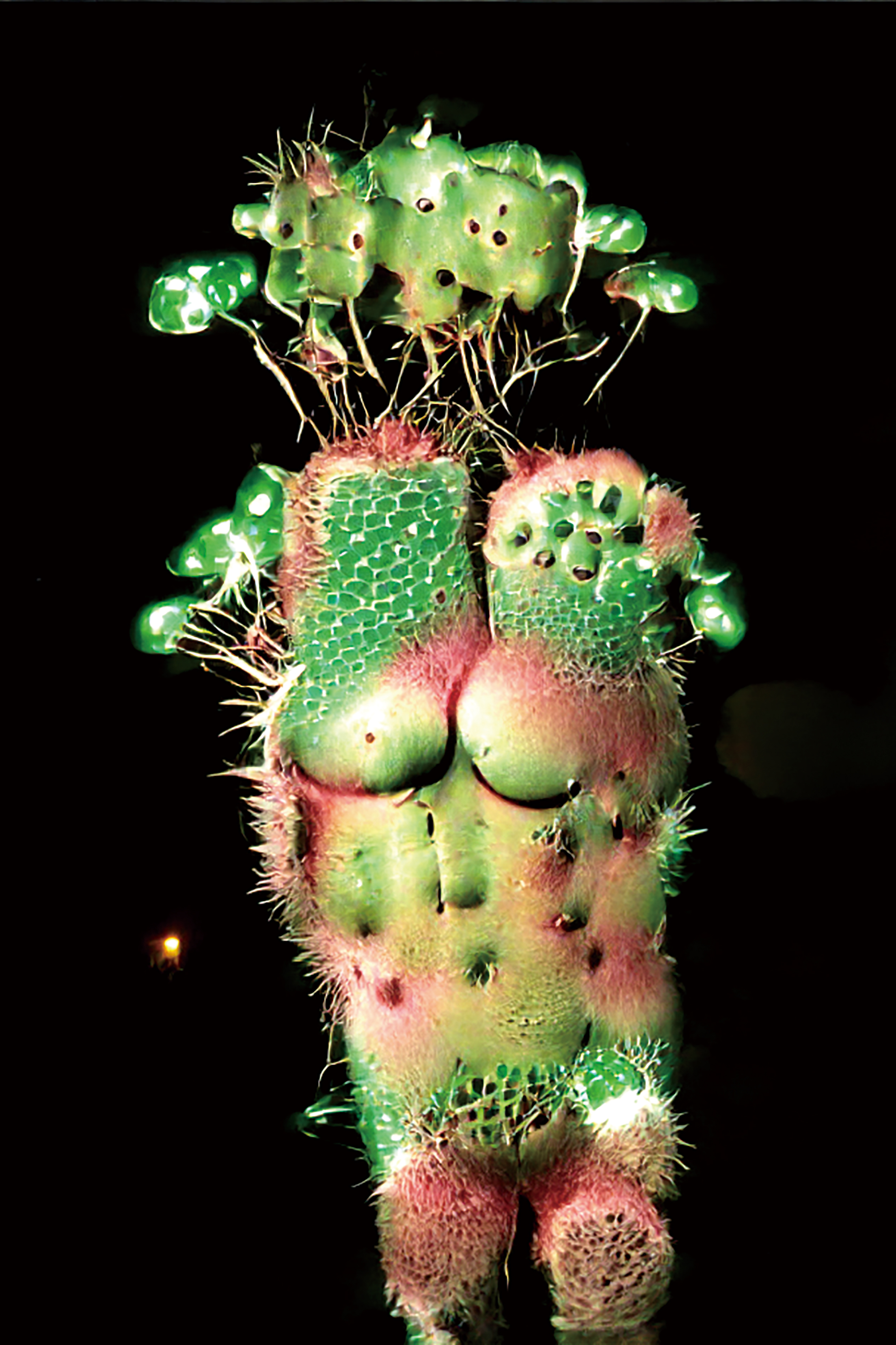《酷兒未來》#5 人類與植物的混種 / 2022