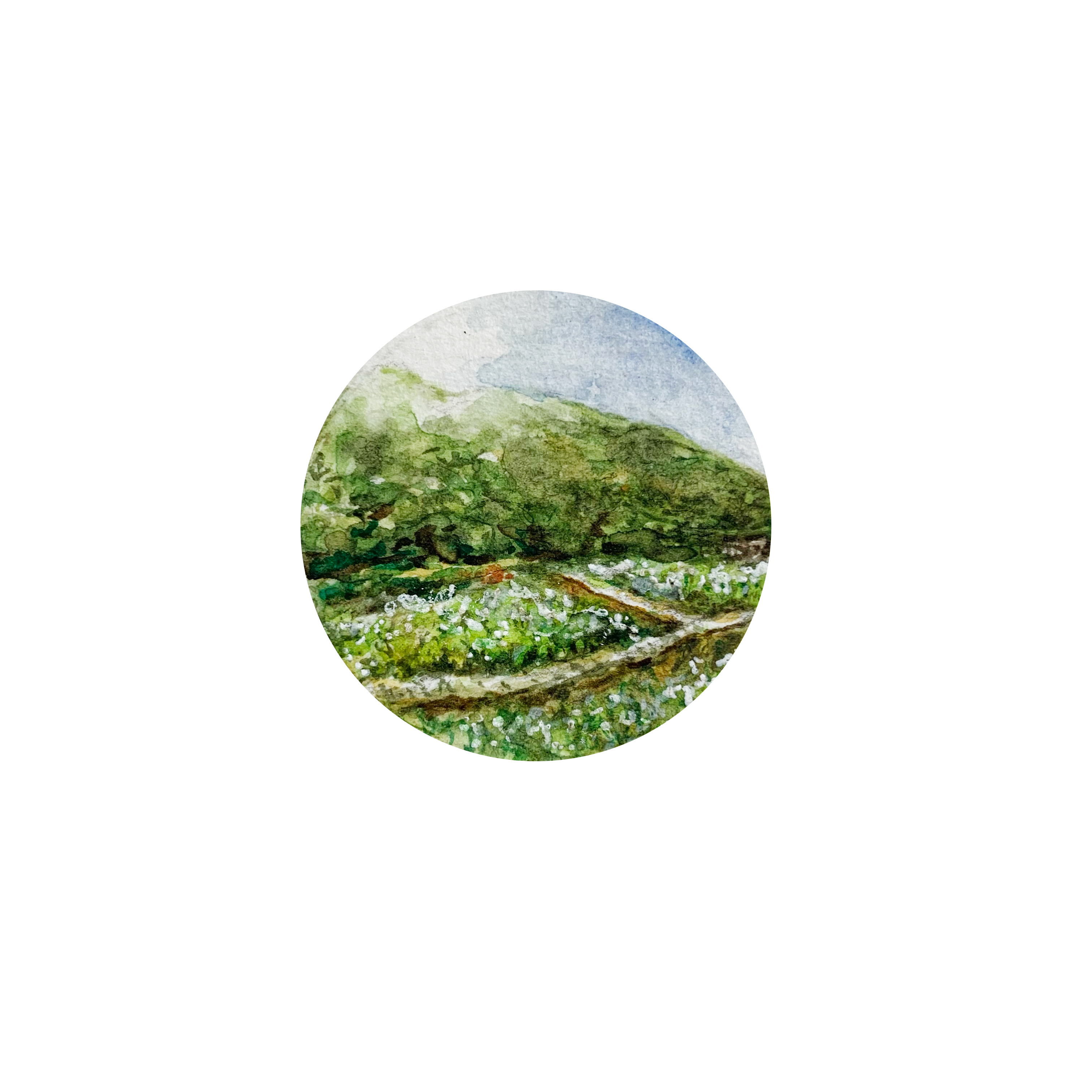 陽明山國家公園  Yangmingshan National Park