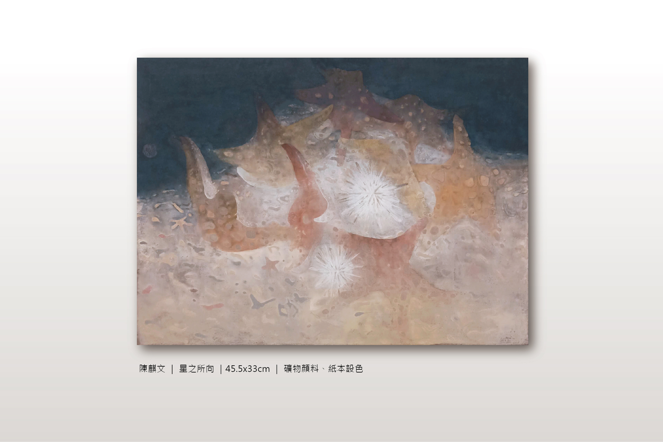 星之所向
