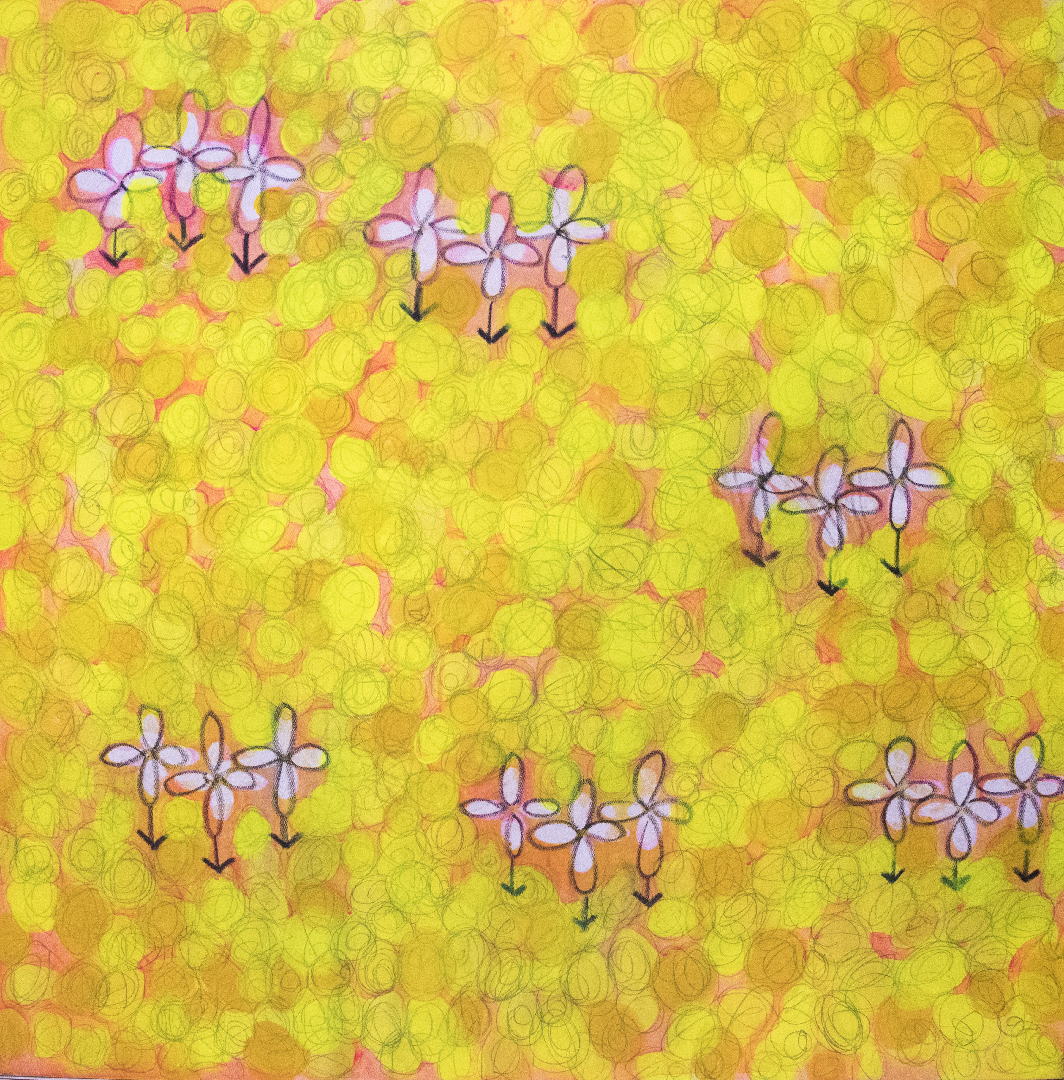 花圓