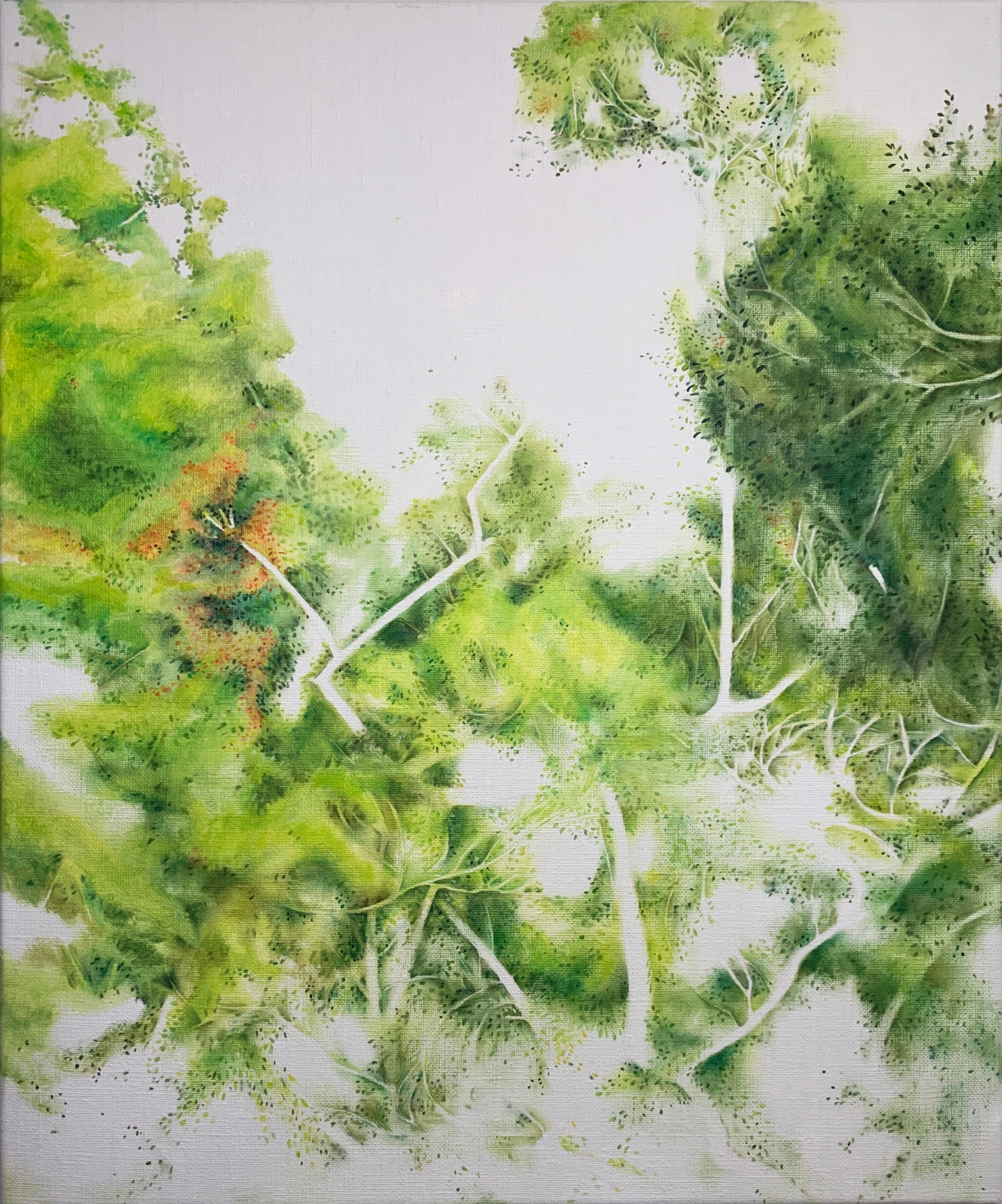 紋_3