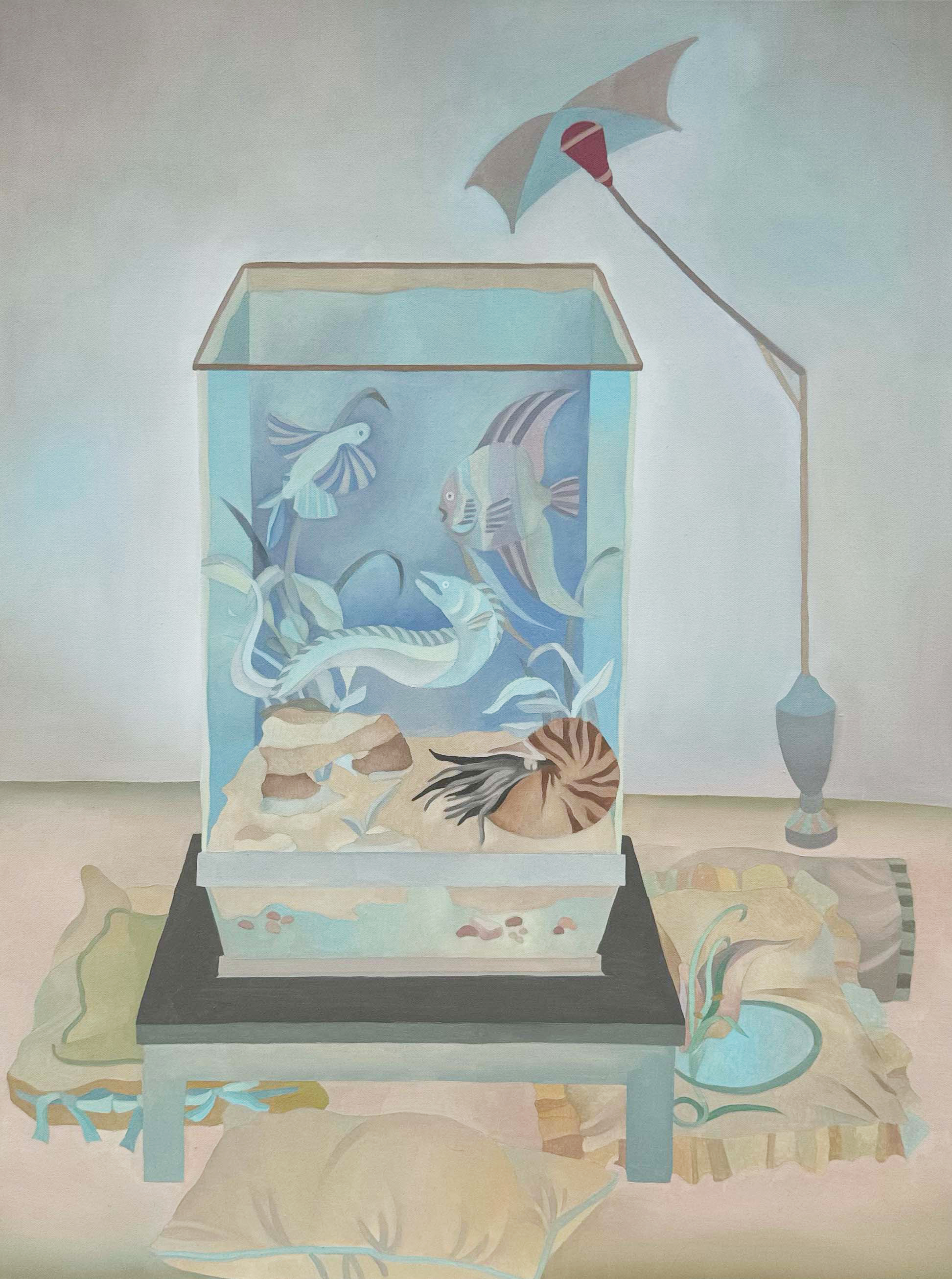 水魚箱