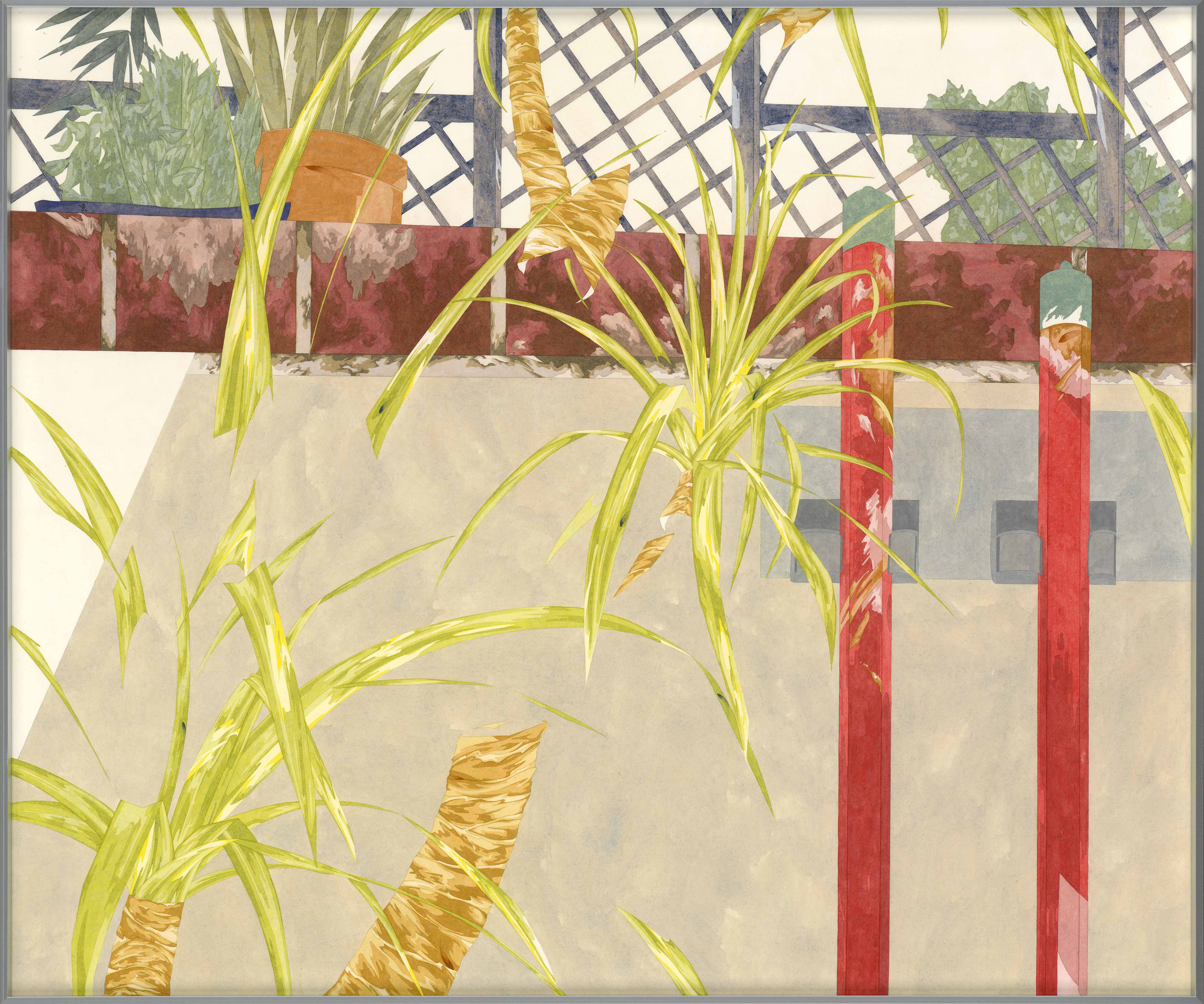 有植栽的室內-龍血樹01 room with Potted plant- Dracaena 01