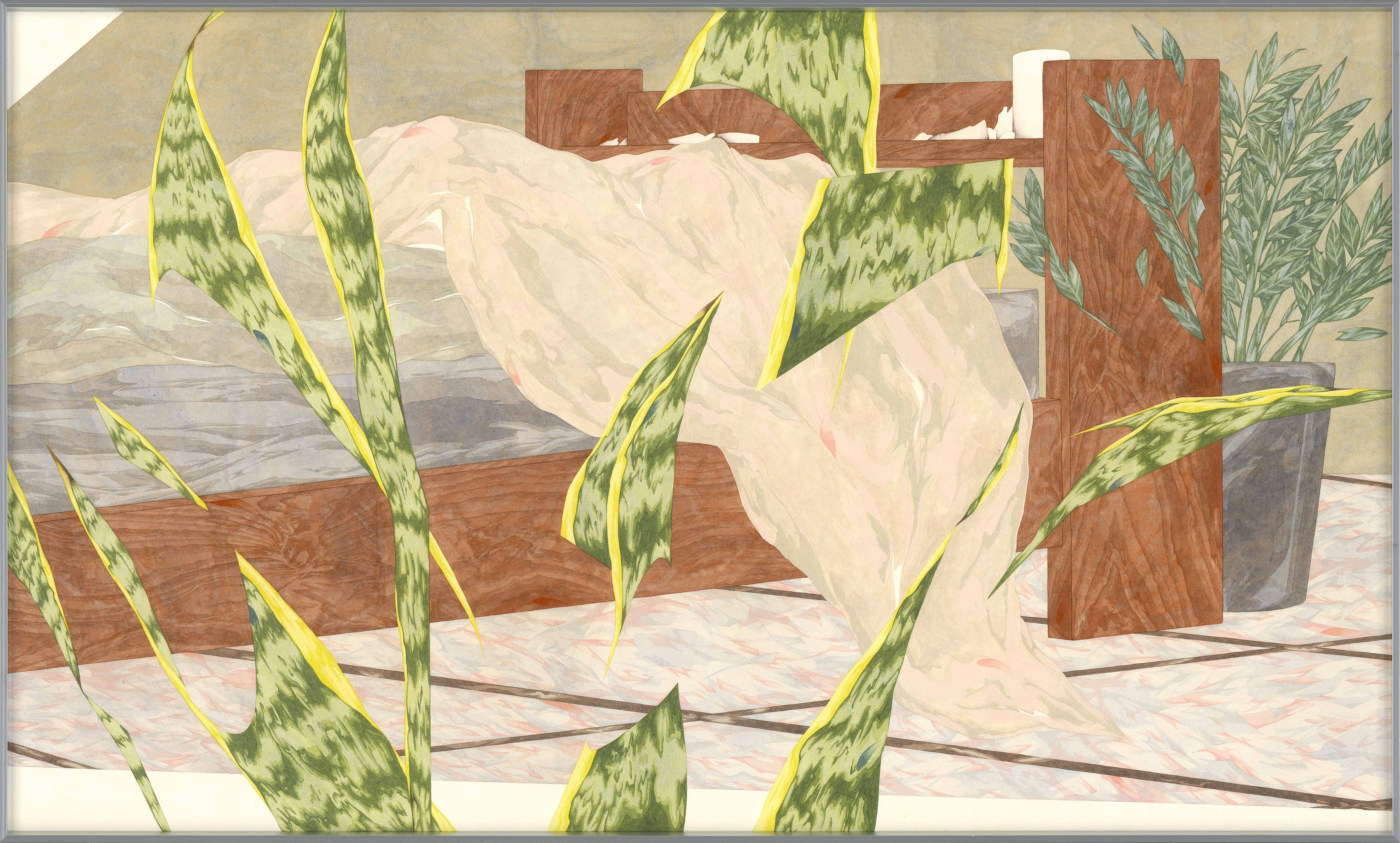有植栽的室內-虎尾蘭00 room with Potted plant- trifasciata 00