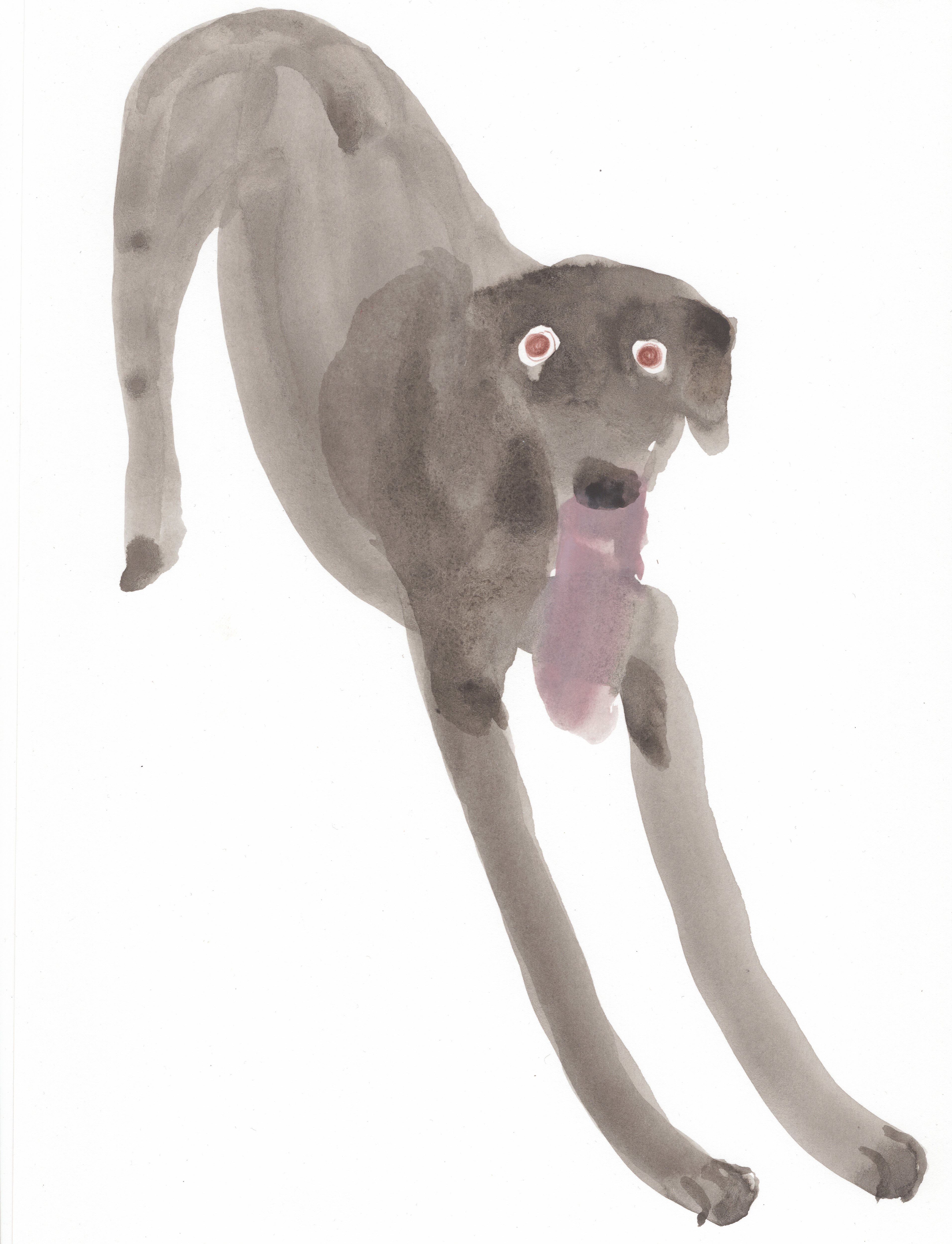 長黑狗
