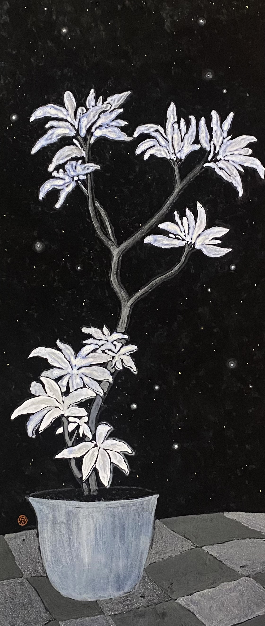 夢夜白水木II