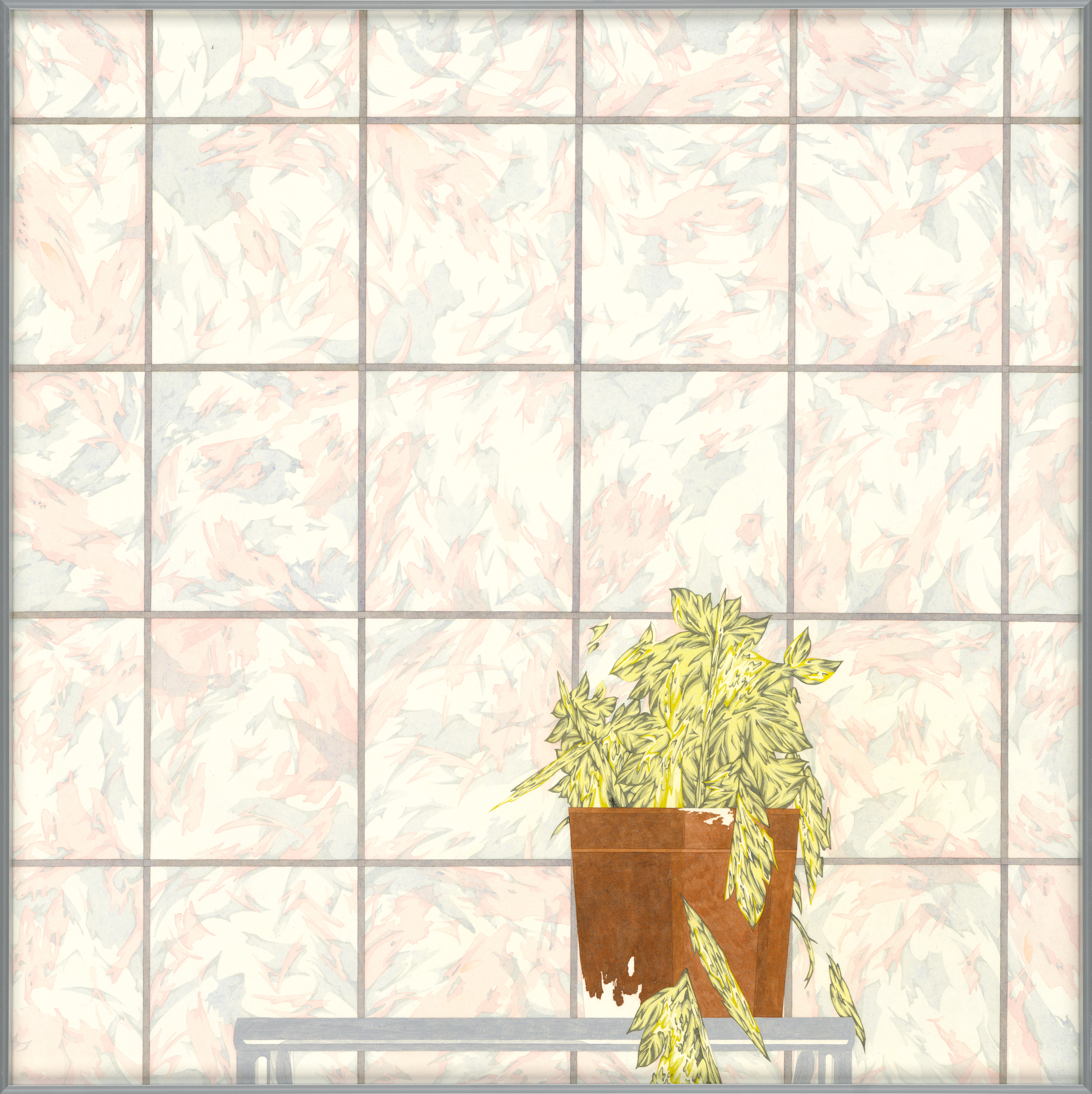 瓷磚與鈴樹藤00 Tile and Epipremnum00