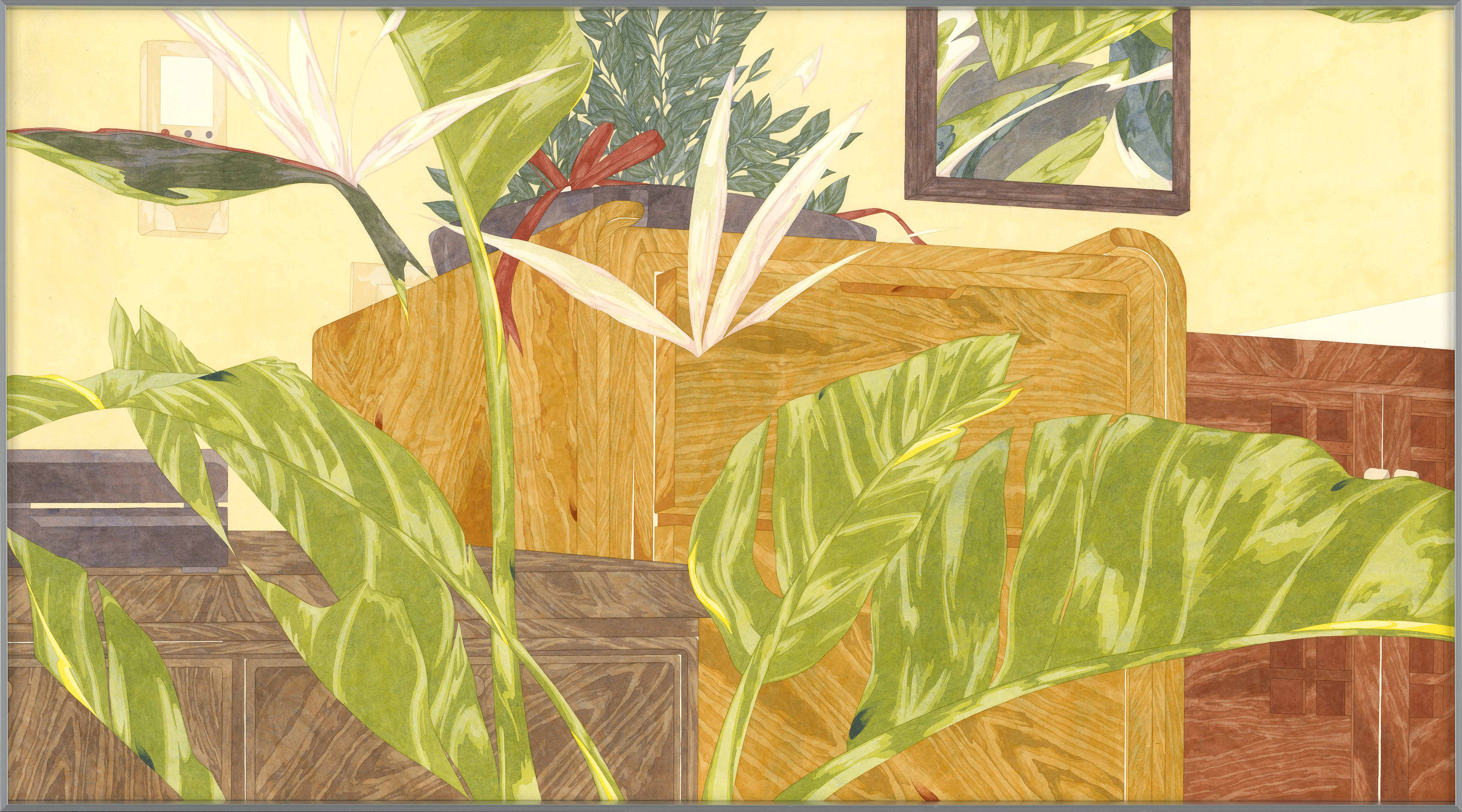 有植栽的室內-鶴望蘭00 room with Potted plant- Strelitzia00