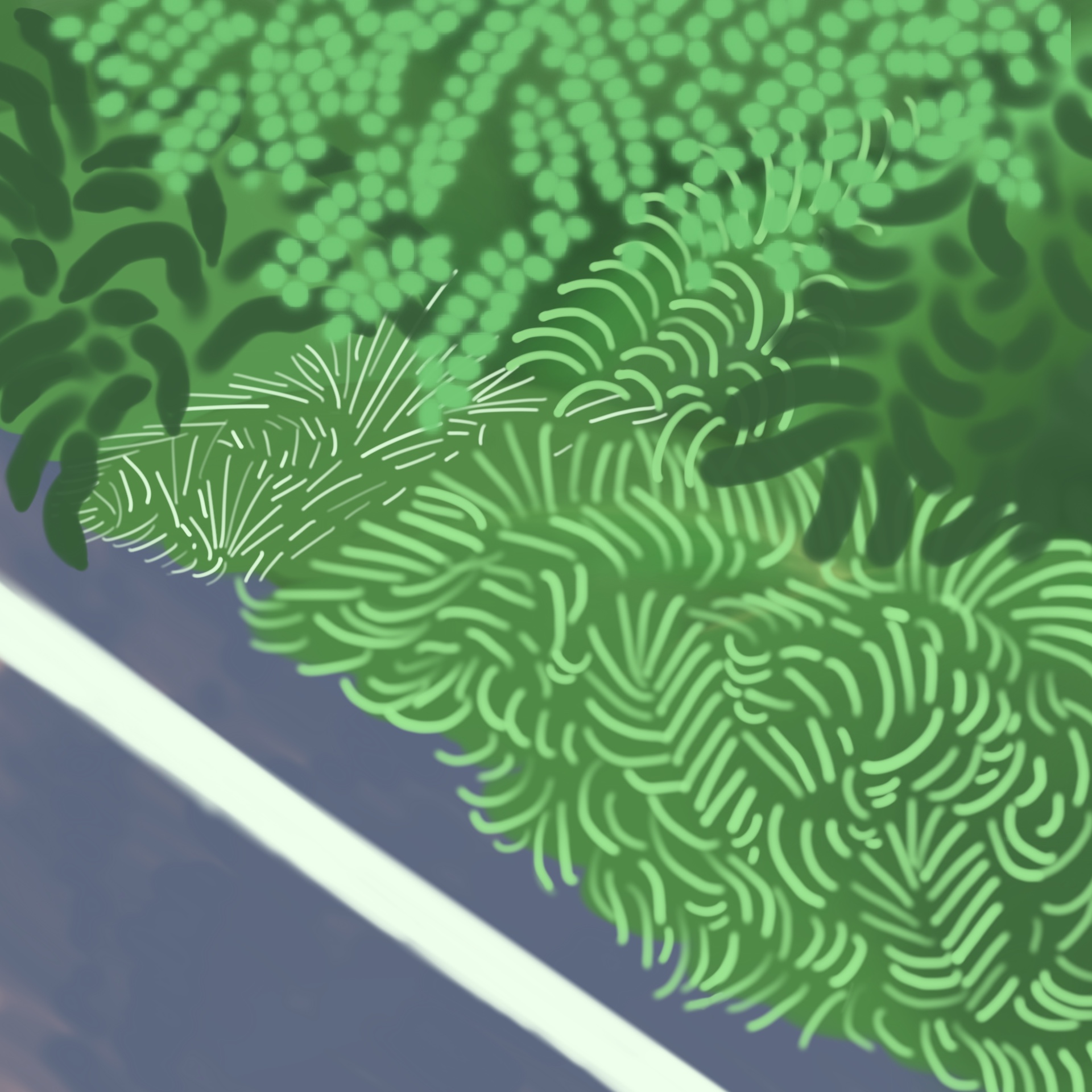 Growing Along the Way