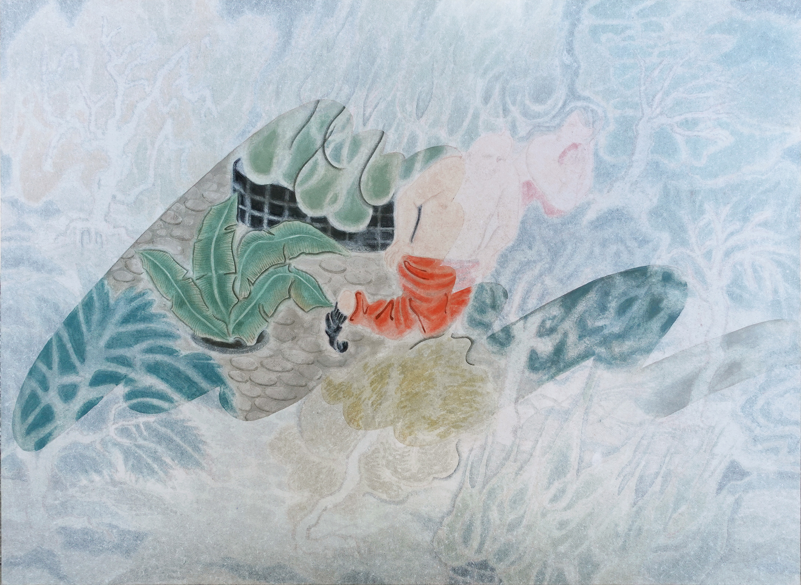 森林悠遊
