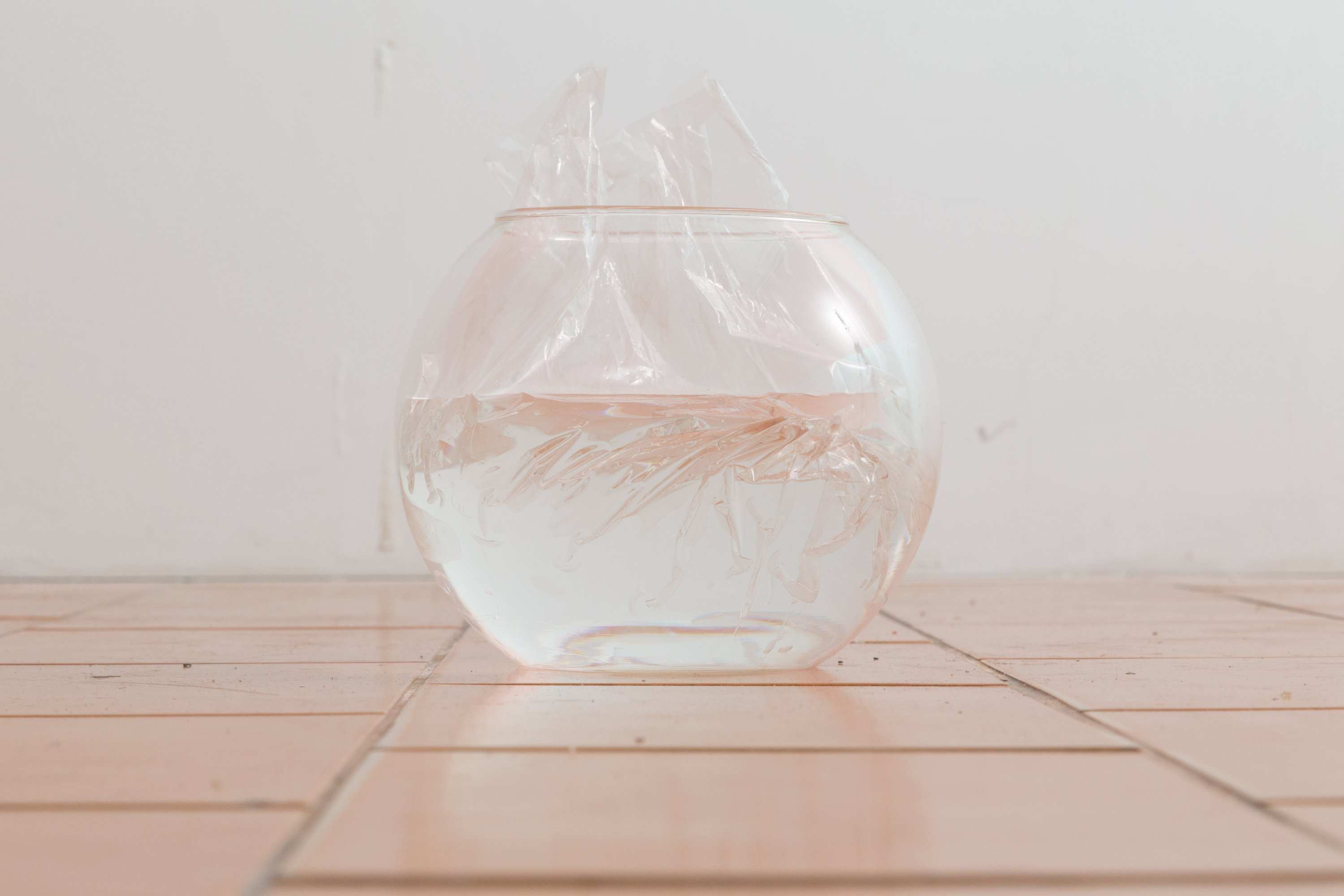 透明度