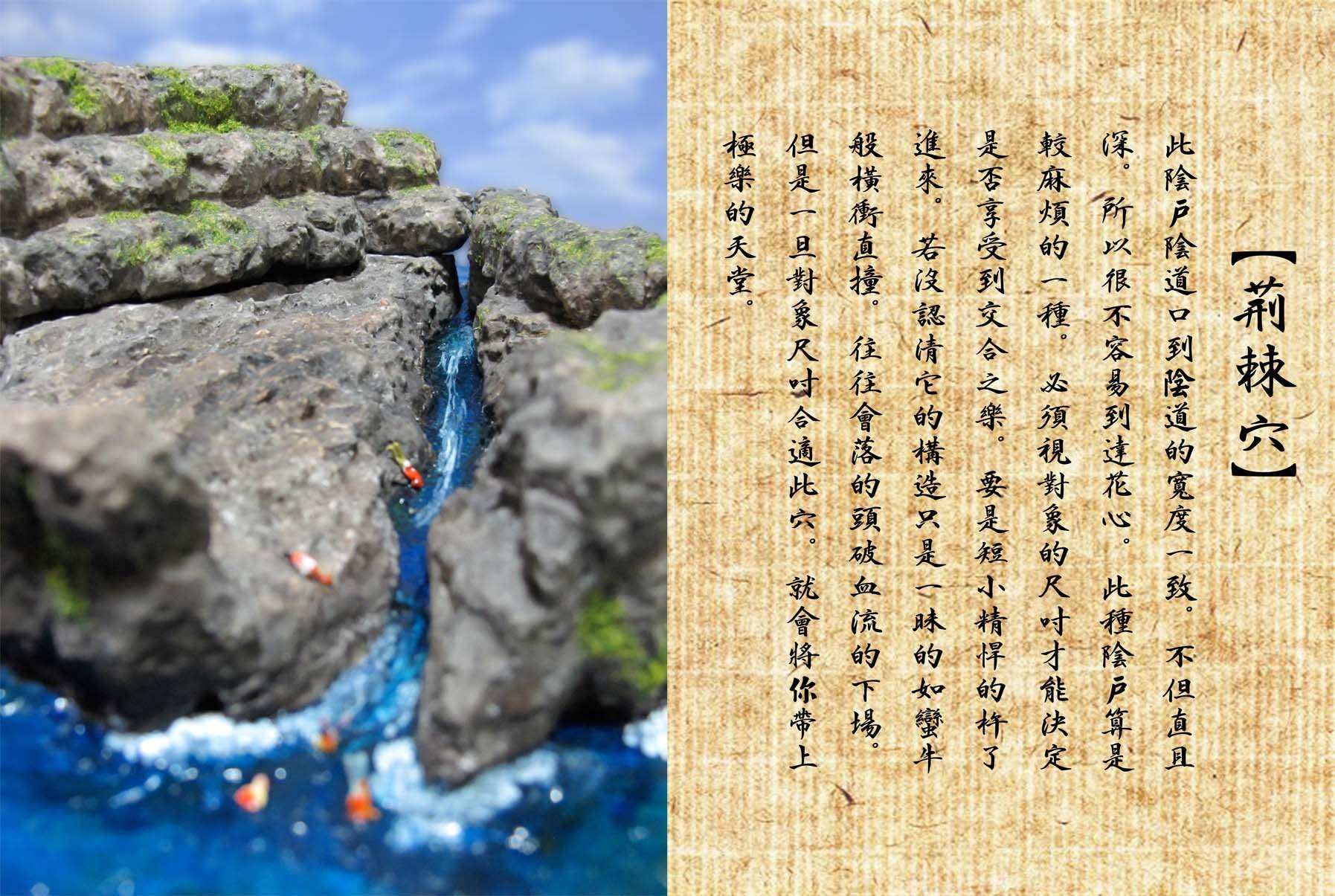 奇官器觀-荊棘穴