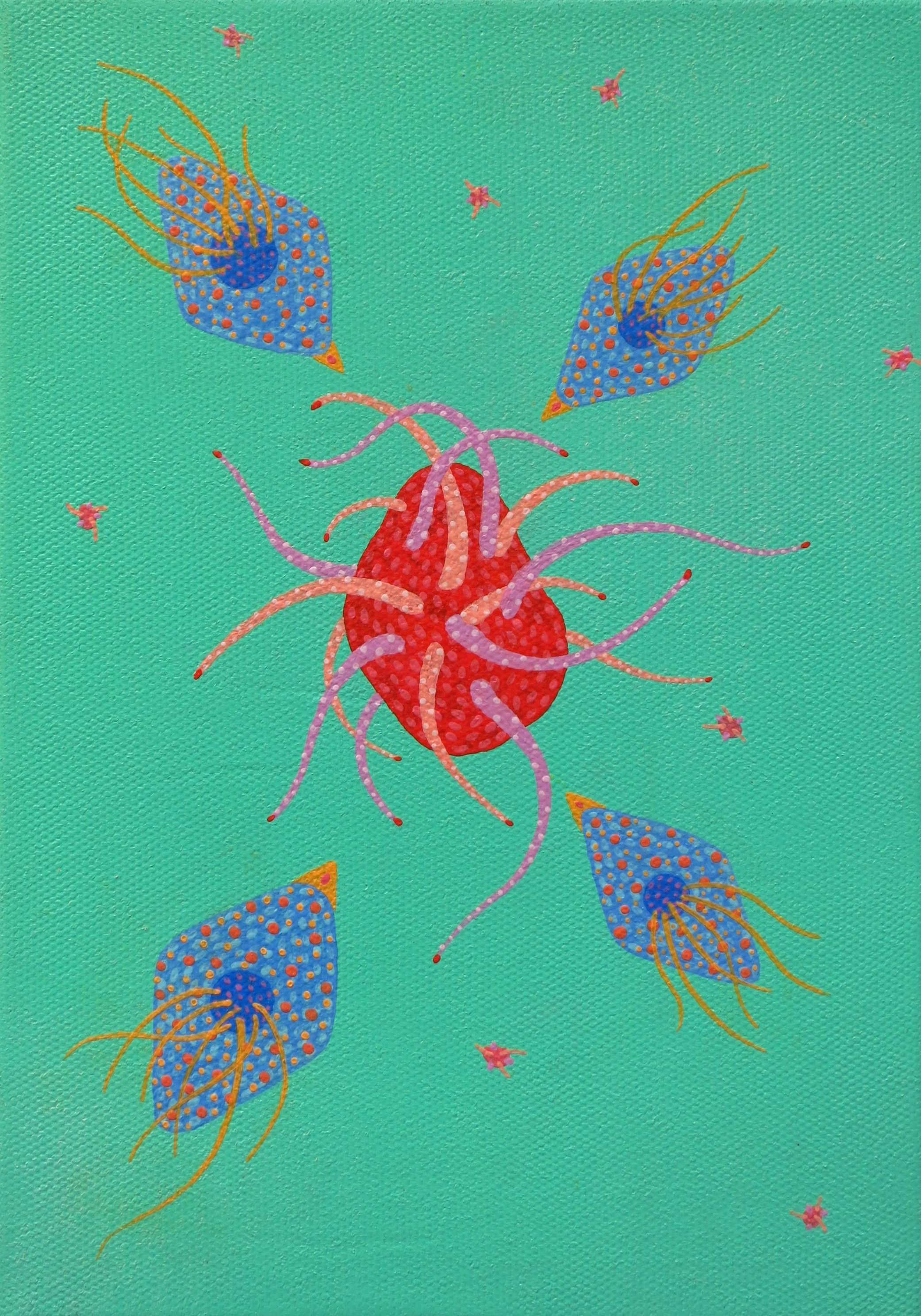 小生物系列4