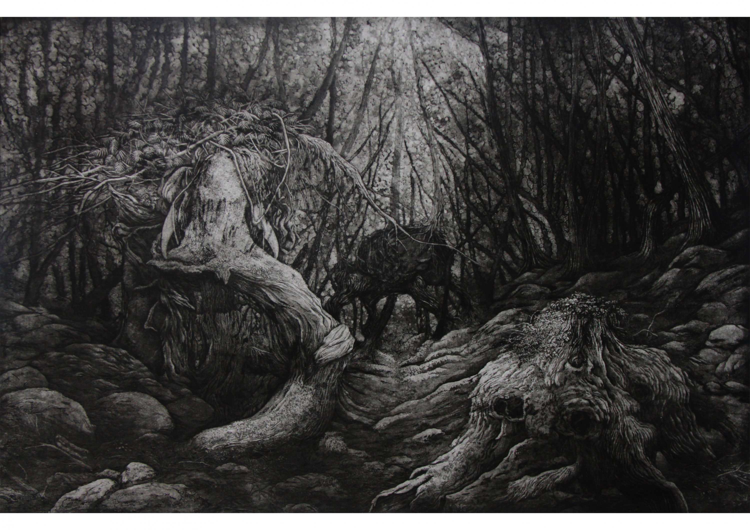 forest of decay/2016