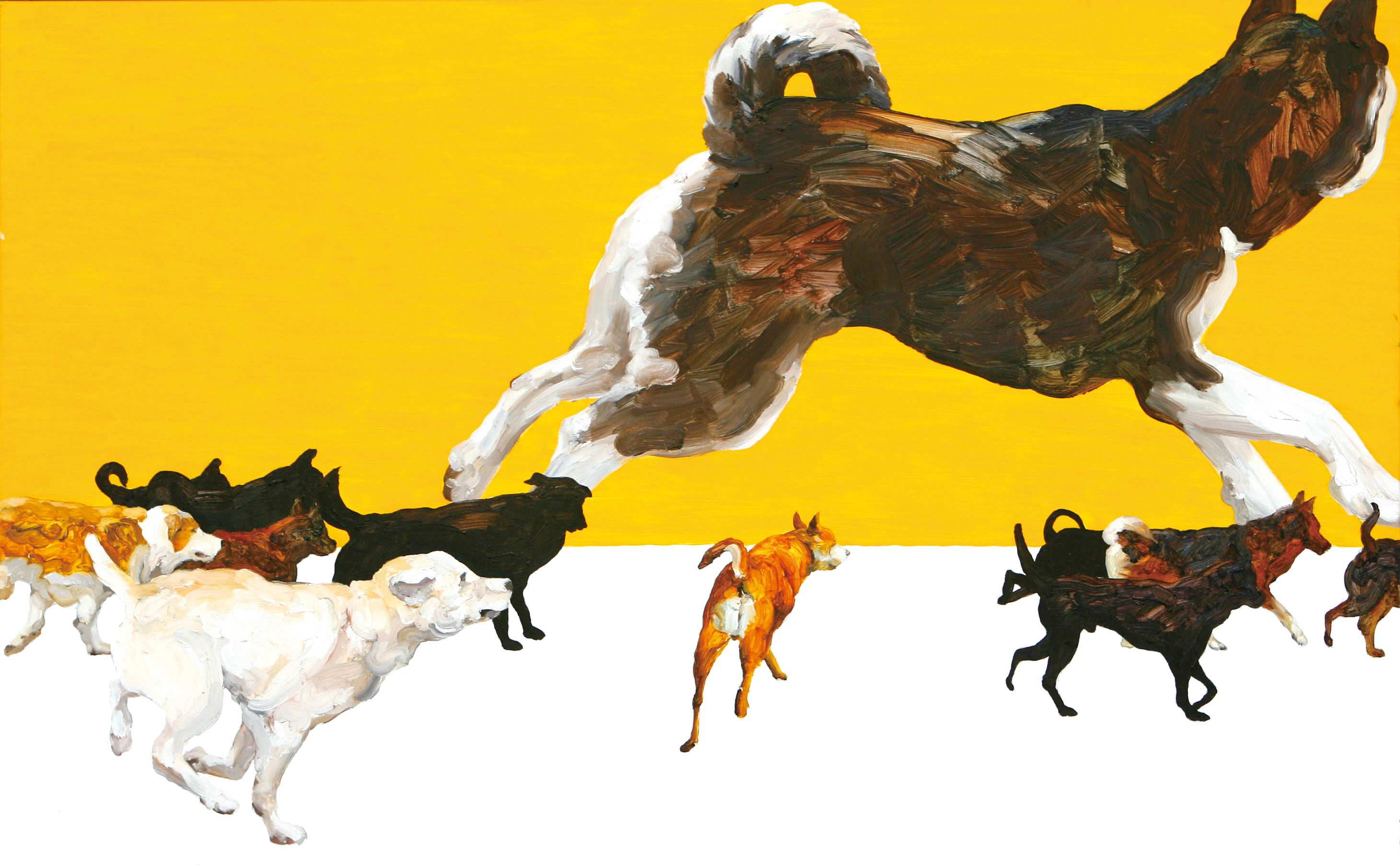 dog runners