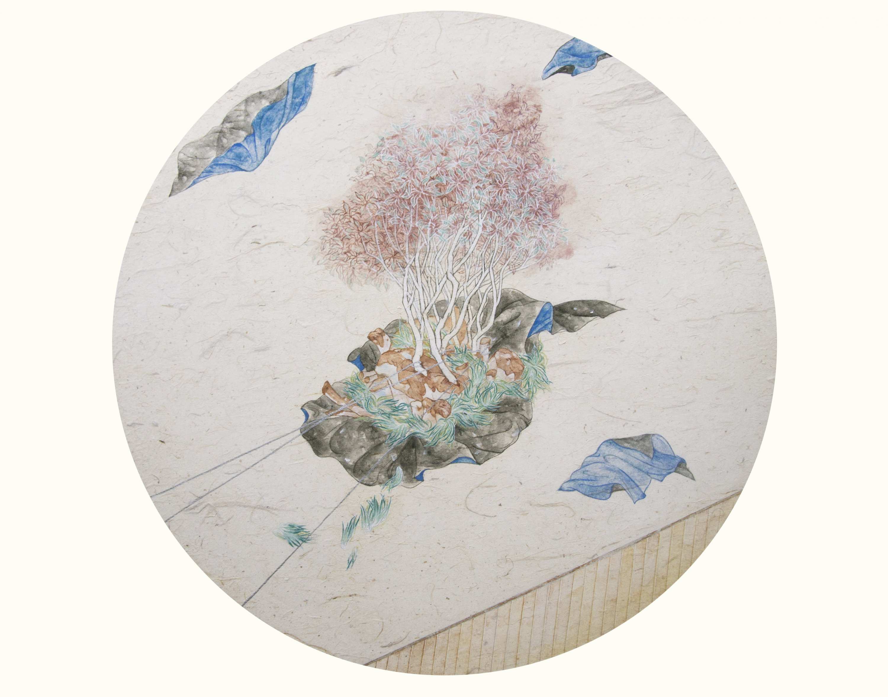 花火的著陸