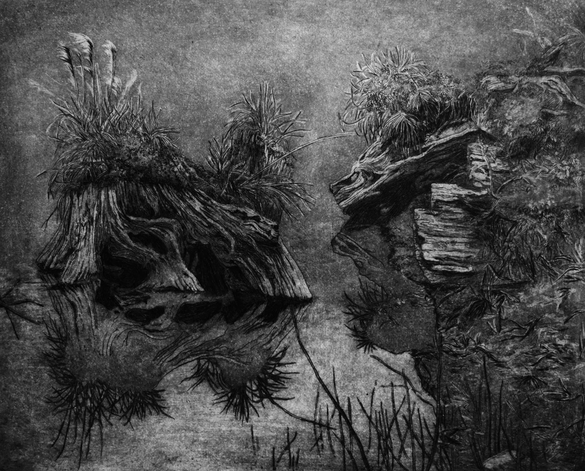 decayI-III/2016