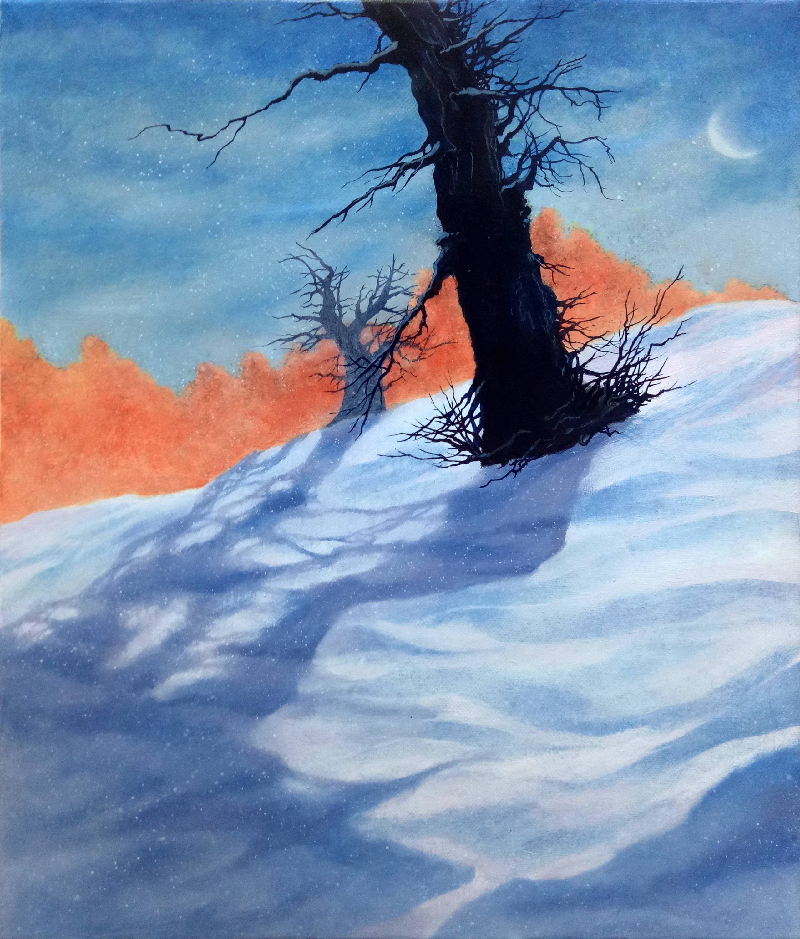 純白沙漠/2019
