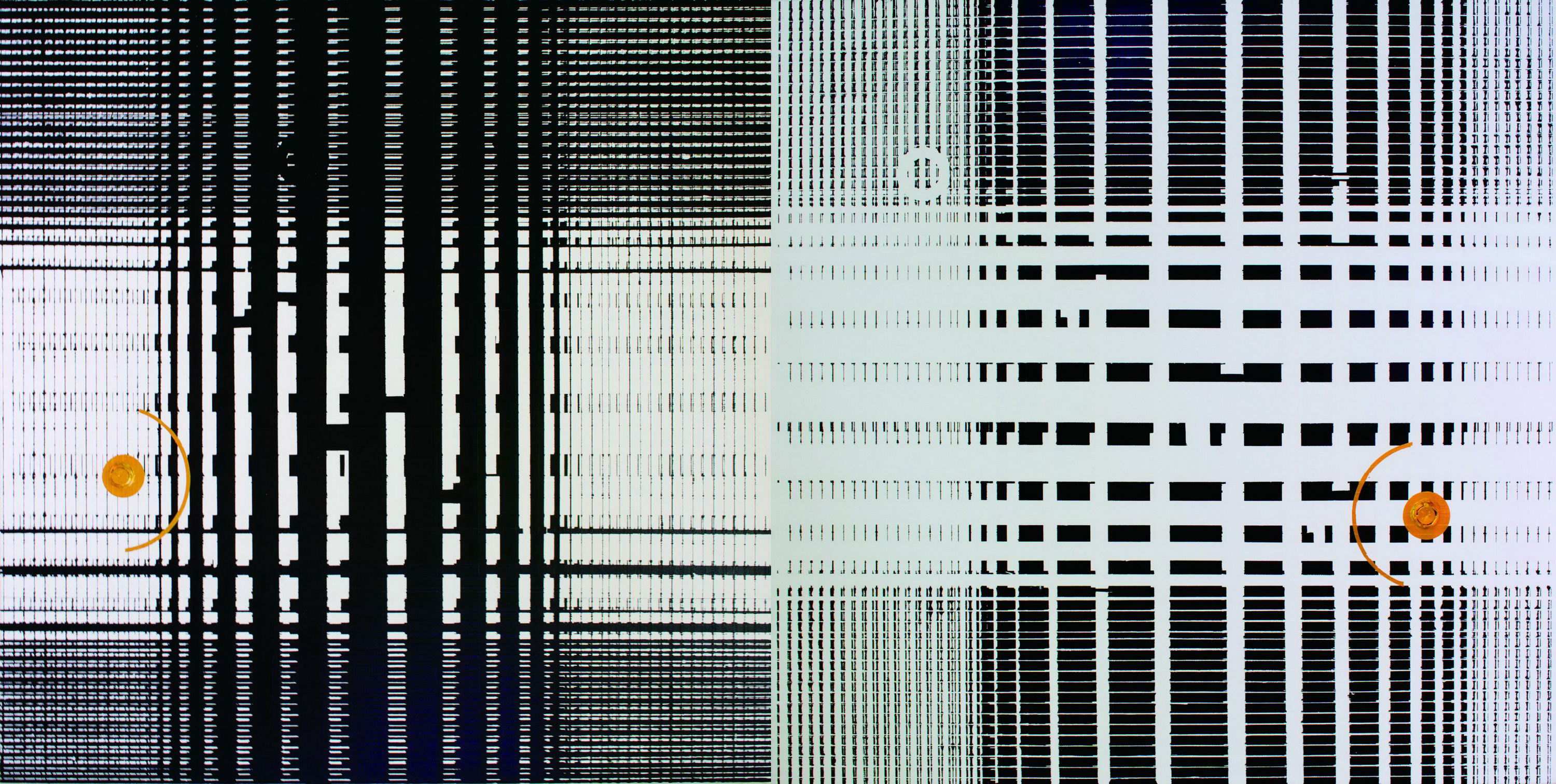 Coco,Camdon No.31