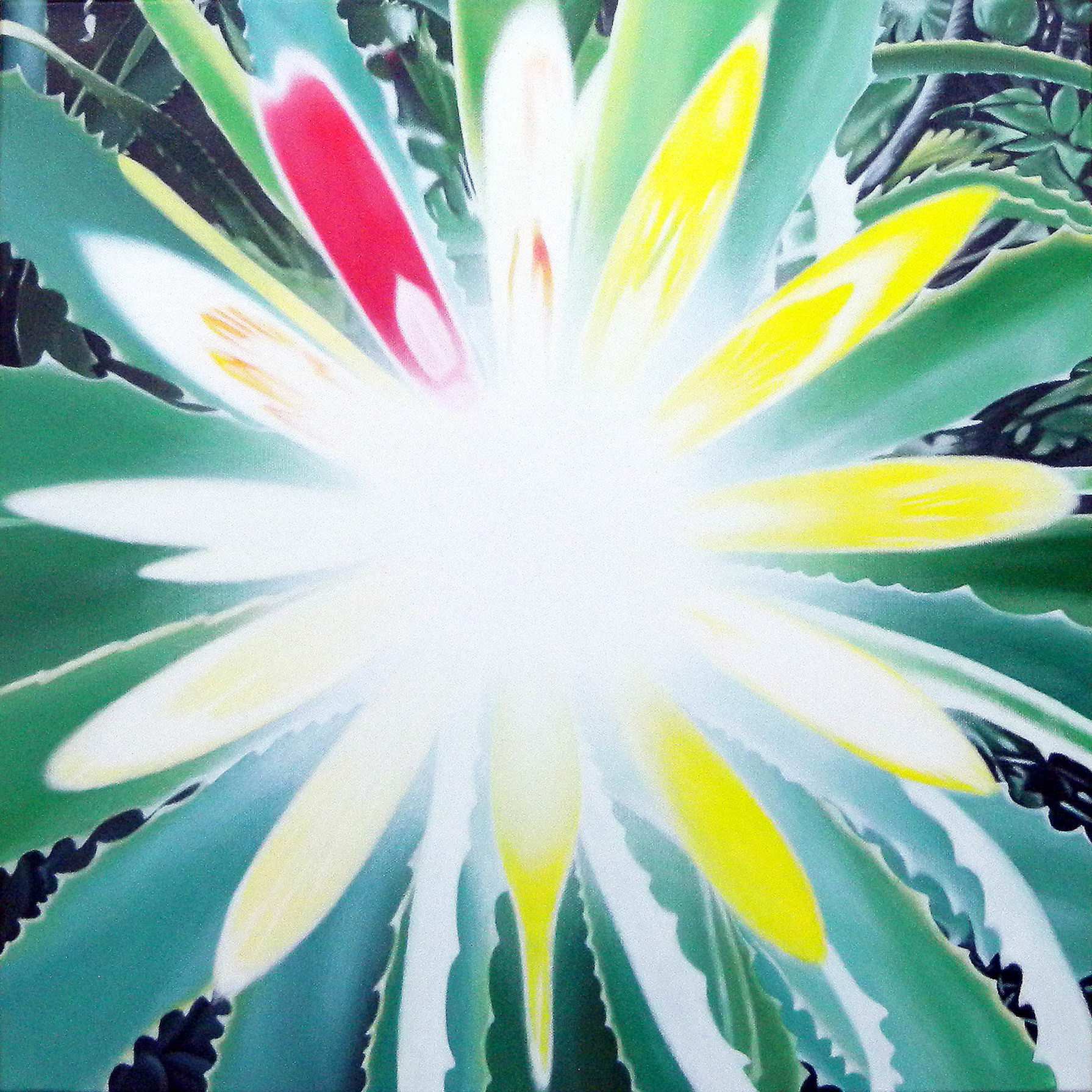 生命之花系列－養顏美容圖(添加蘆薈)
