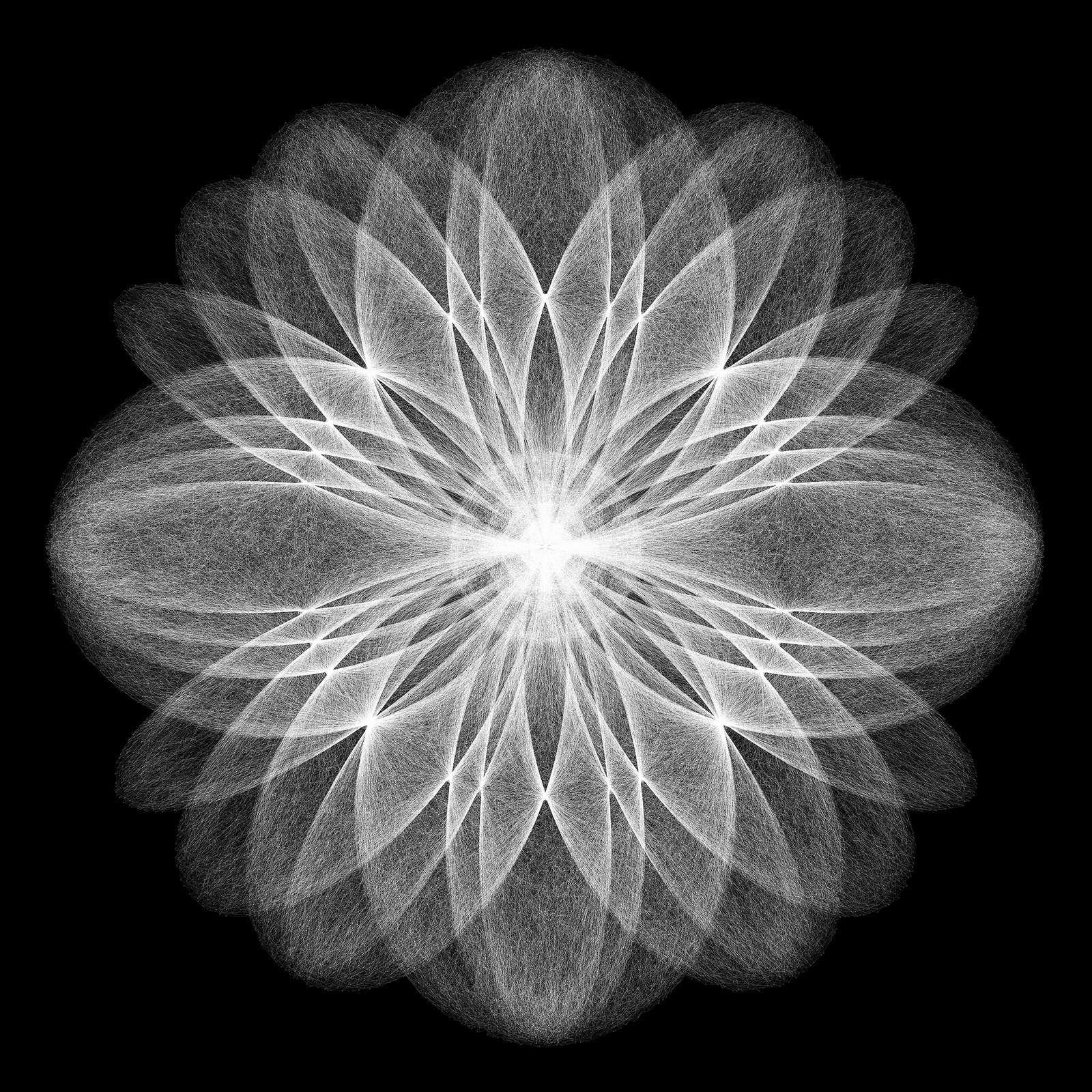 Essence丨Cosmos of thoughts無念丨思緒宇宙, 2018
