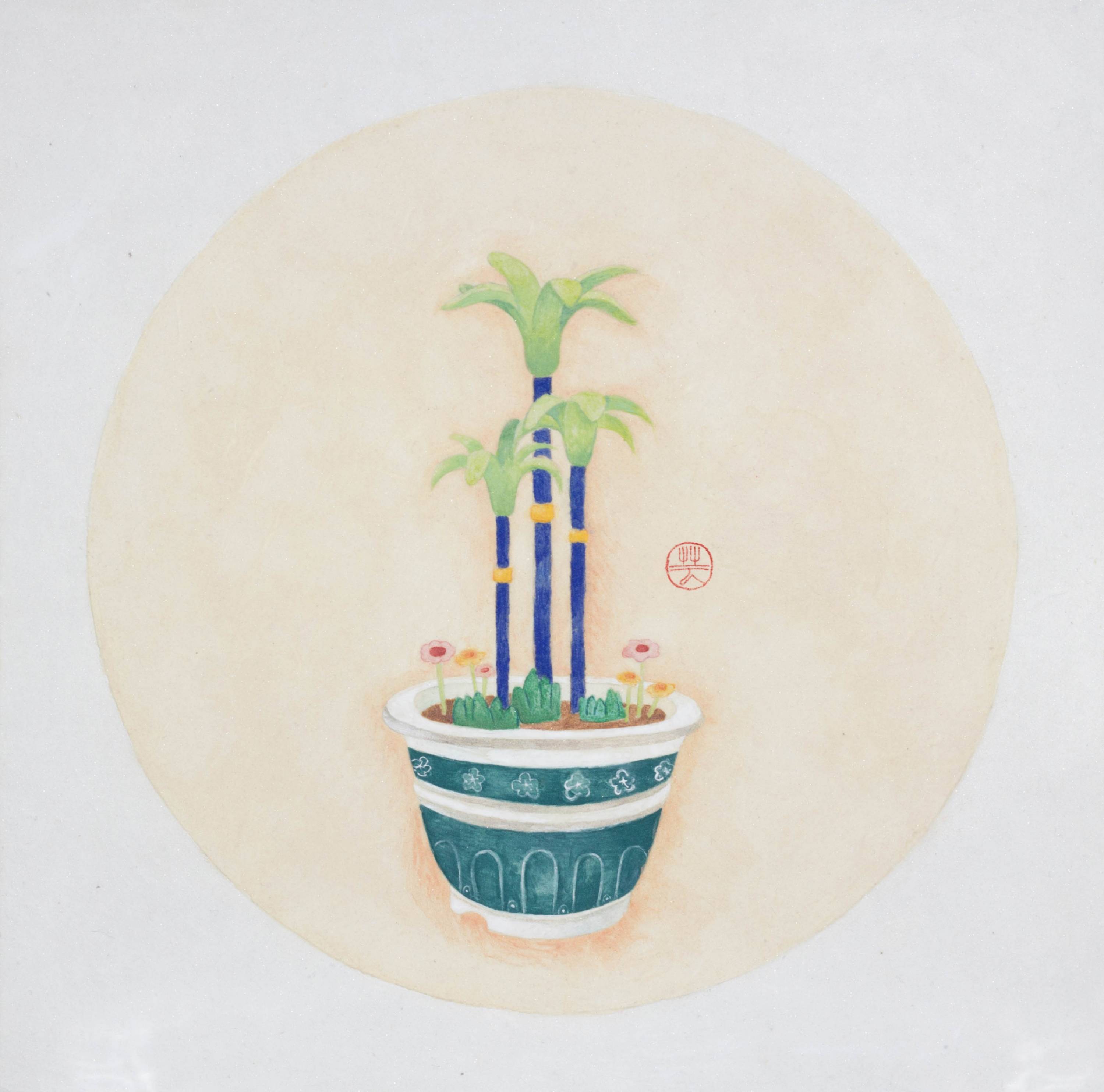 永生植物I