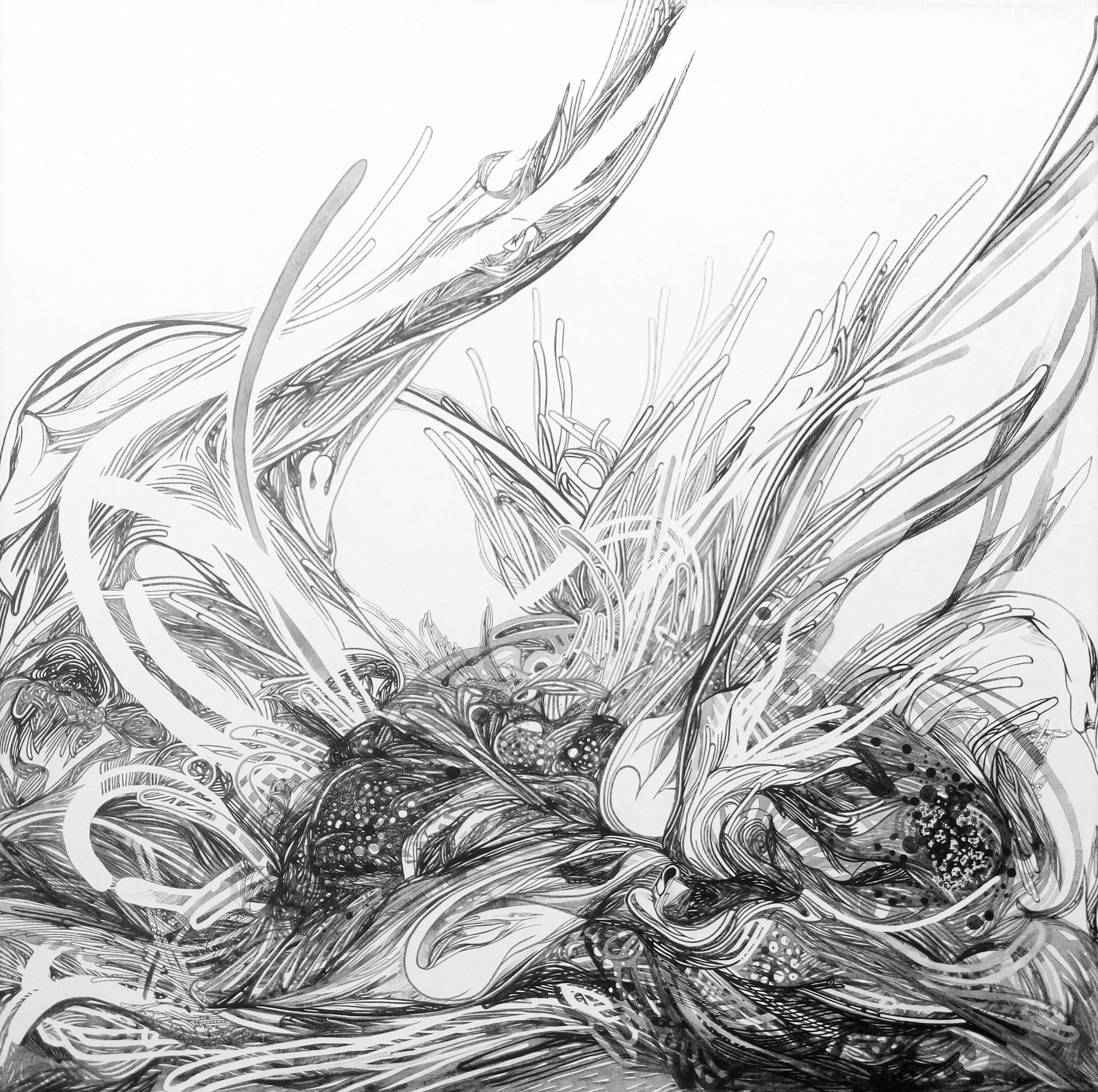 殘地風起 A wind blowing in the desolate land / 2016