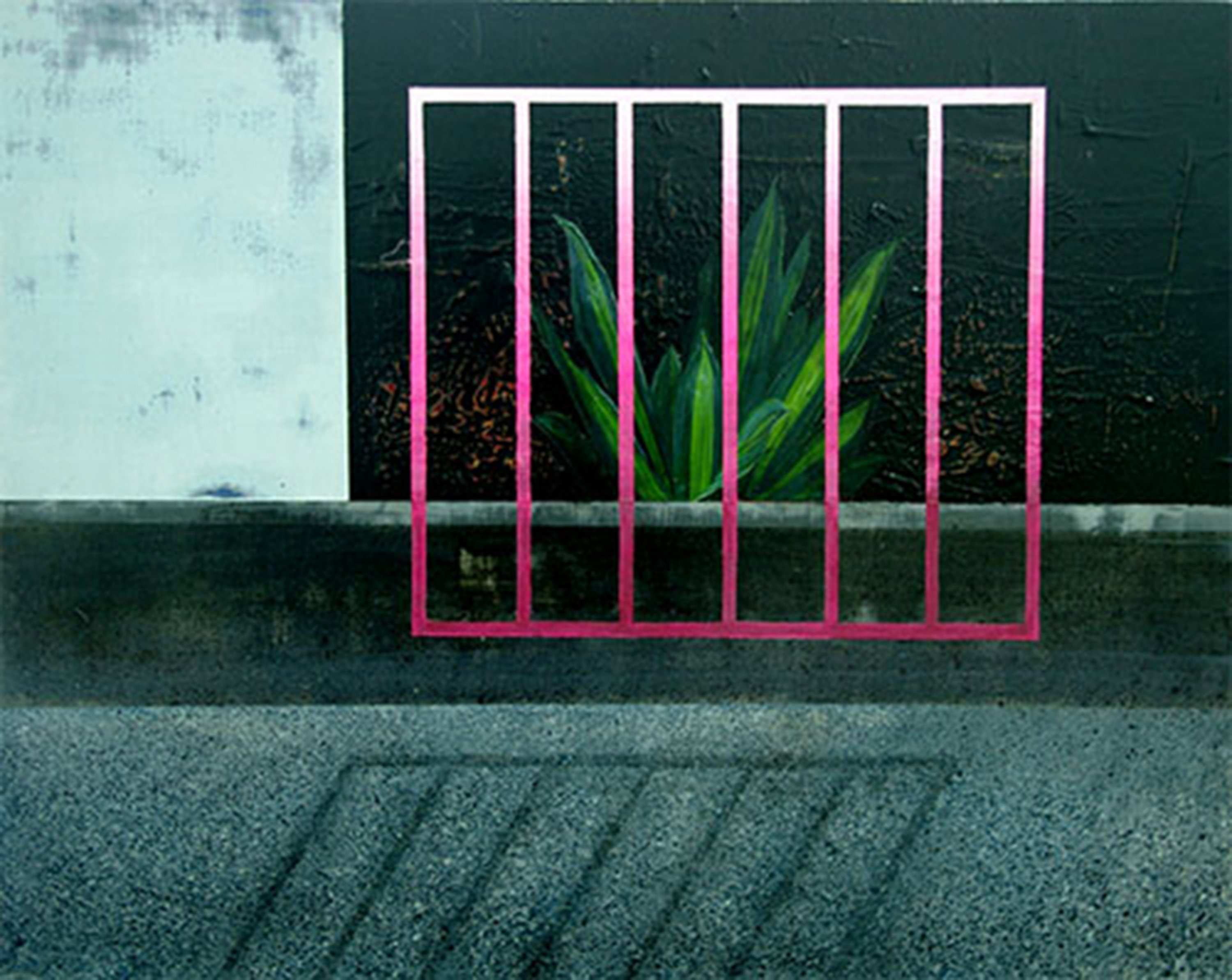 角落植物/2019
