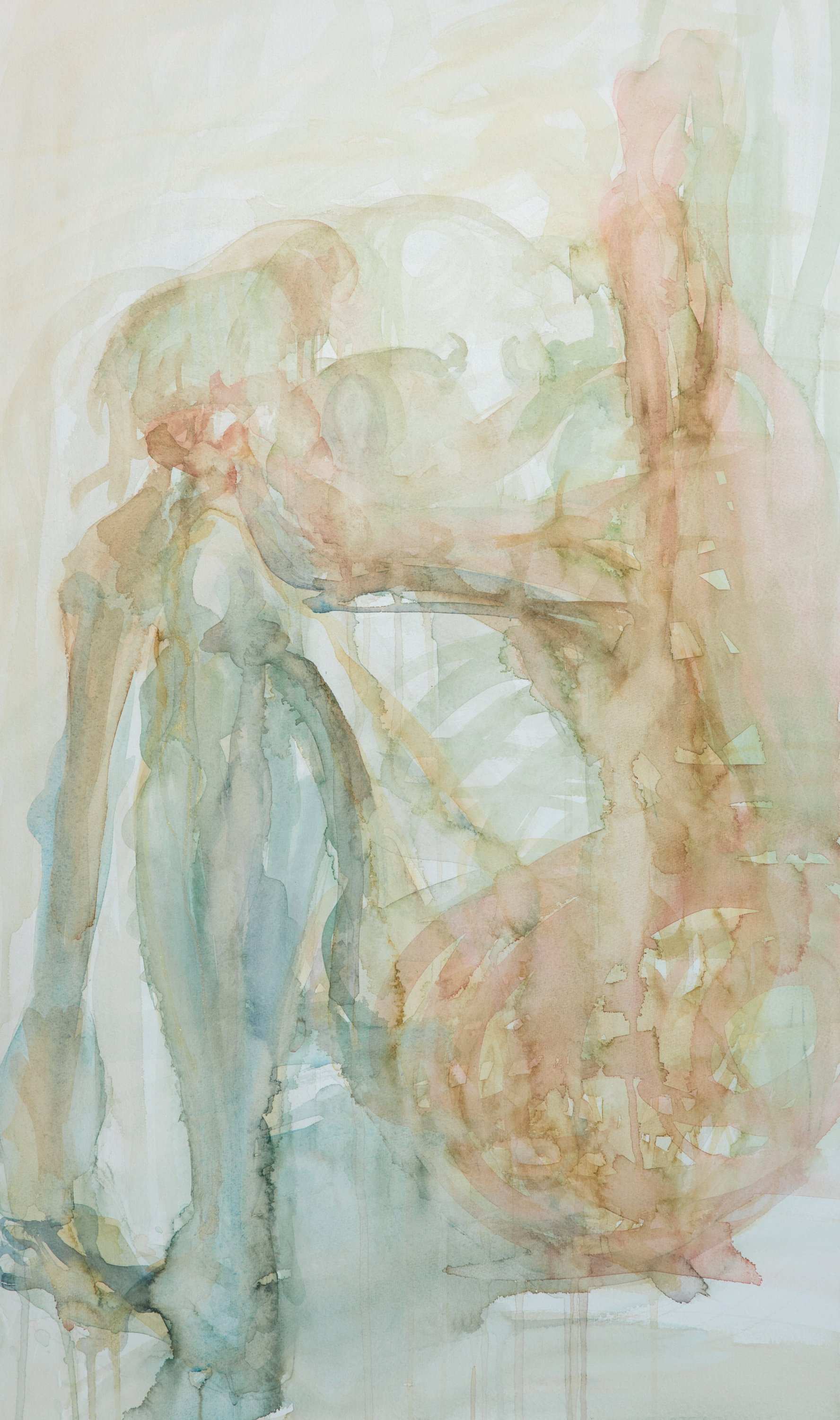 骨·踡縮/2017