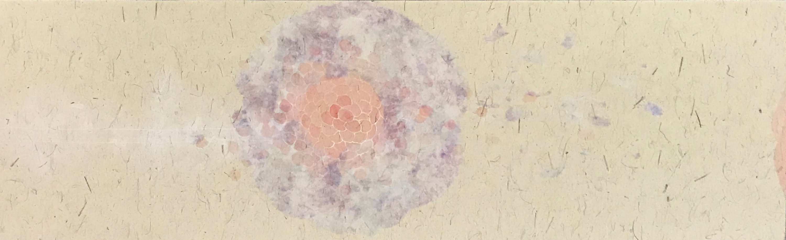 屏蔽效應-毛絨絨的刺蝟/2019