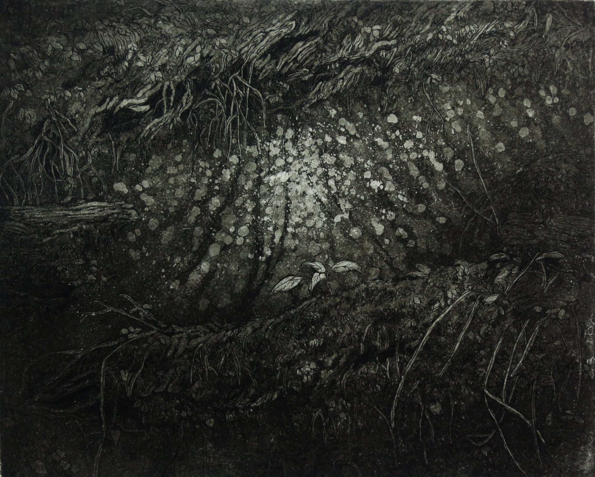 decayI-III/2016
