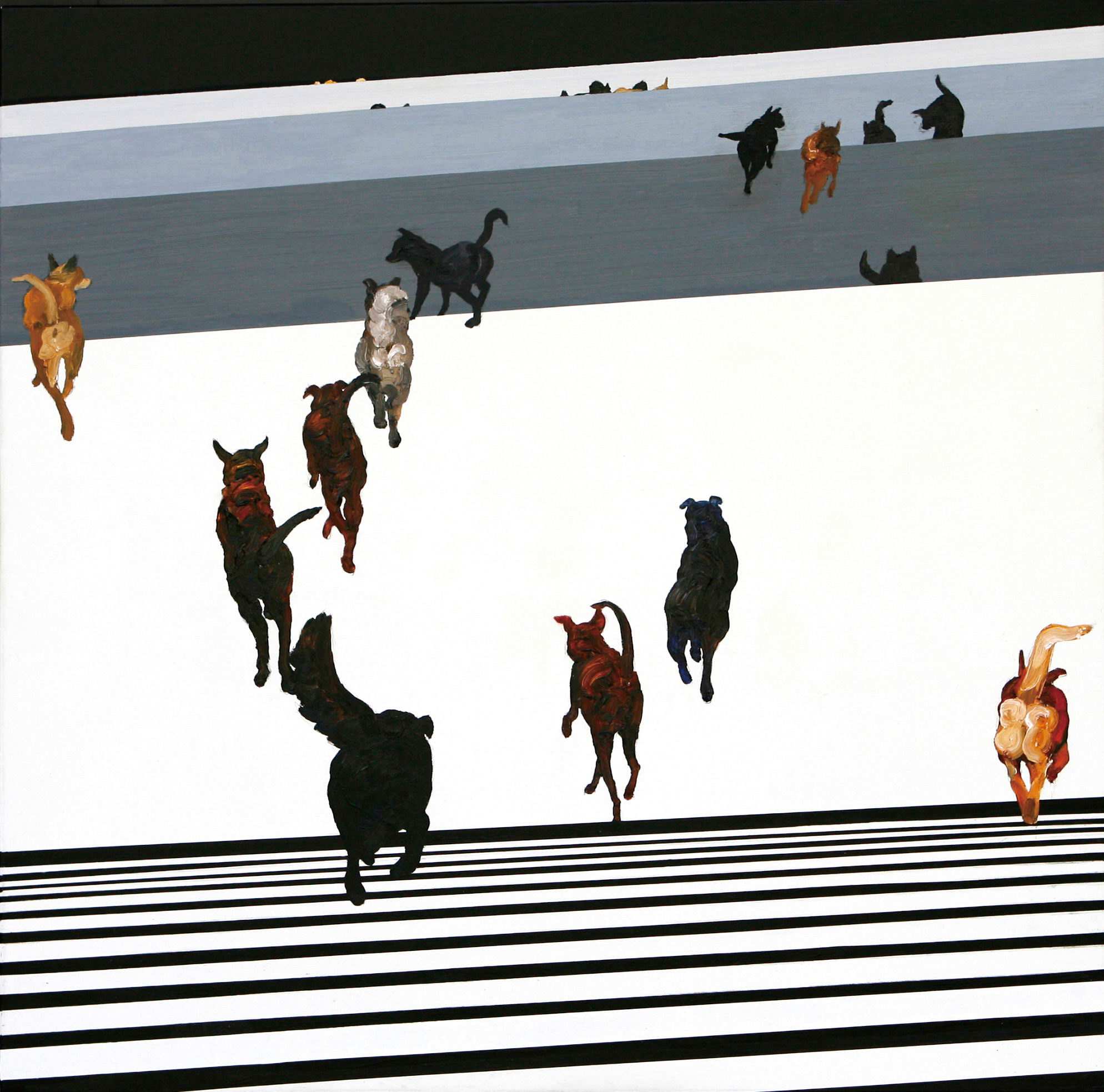 dog walkers