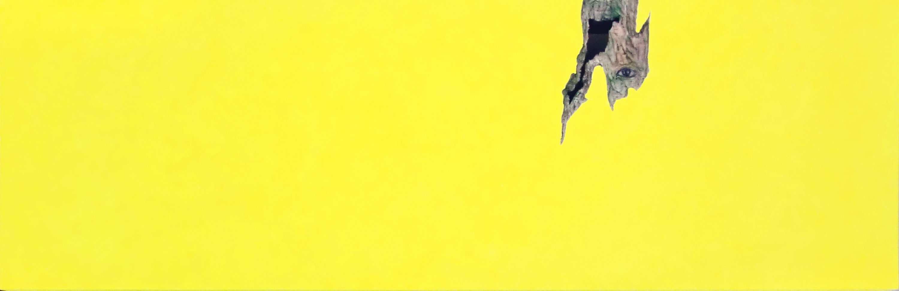 撕裂的臉Ⅲ/2014