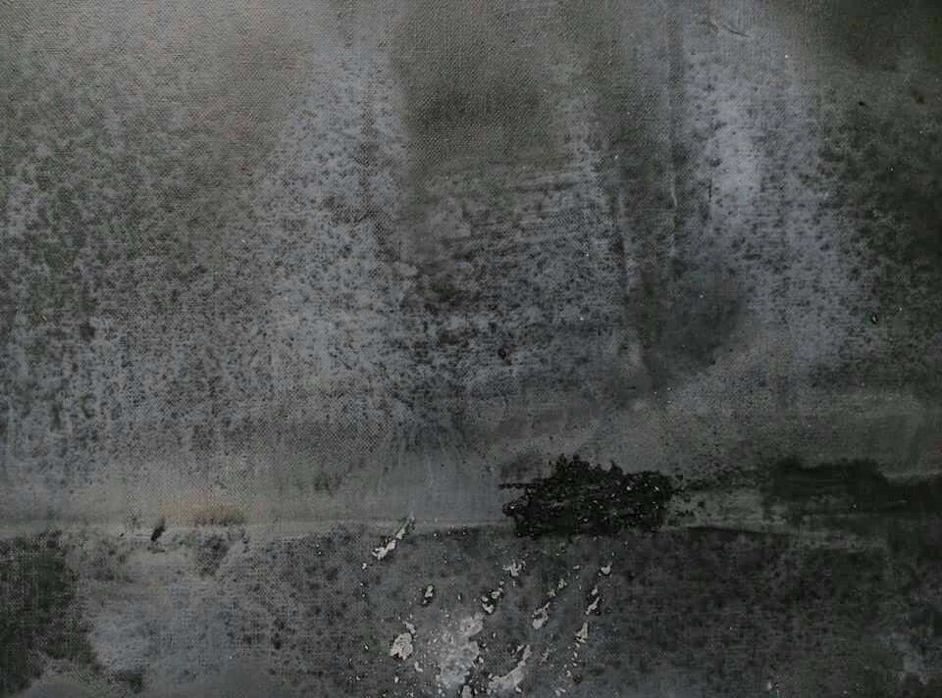 白樺林