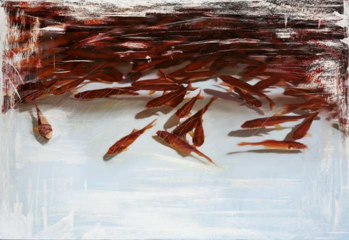 家庭相簿 – 
01. 撈金魚
