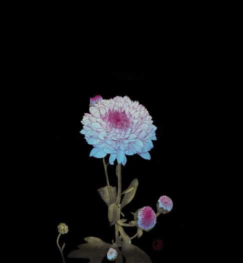 白夜/2014