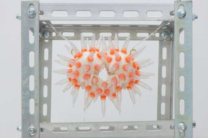 《砰砰 砰砰》（環氧樹脂,PVC,現成物,矽利康,空氣,塑膠管,角鐵,鍍金漆 ，50X30X35cm）