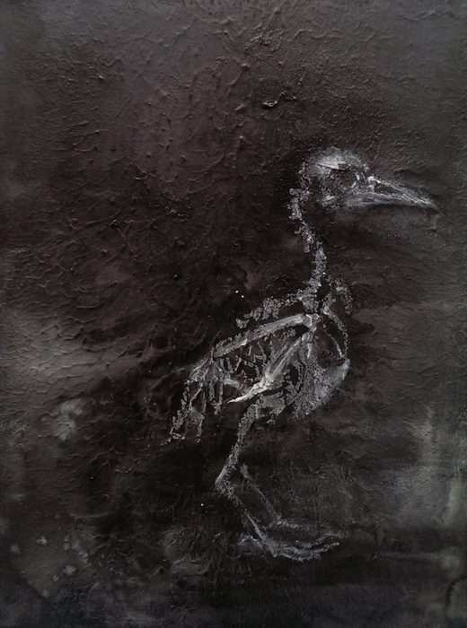 孤鳥