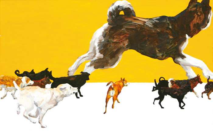 dog runners