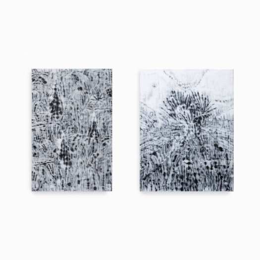 山上的三棵樹/2016(左)、 雞心崙-2/2016(右)
