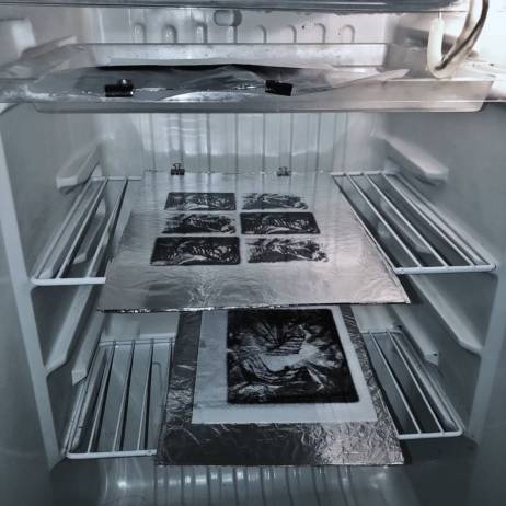 Icebox / 2021
