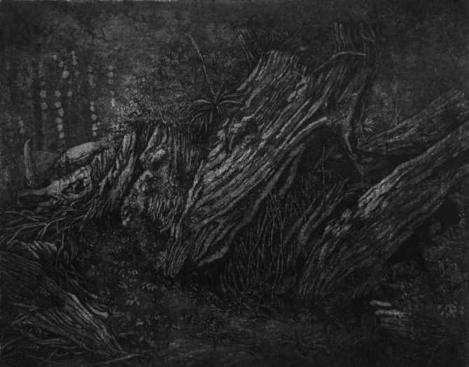 decayI-III/2016（20x25cm，第1件）