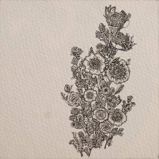Flora