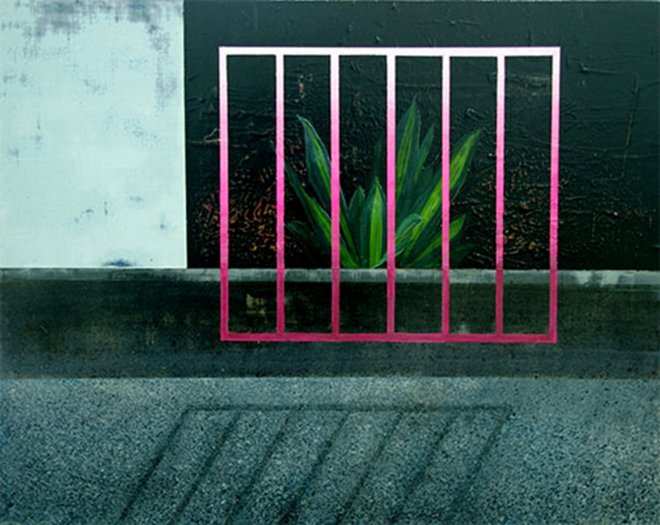 角落植物/2019