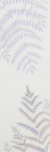 荒/2021