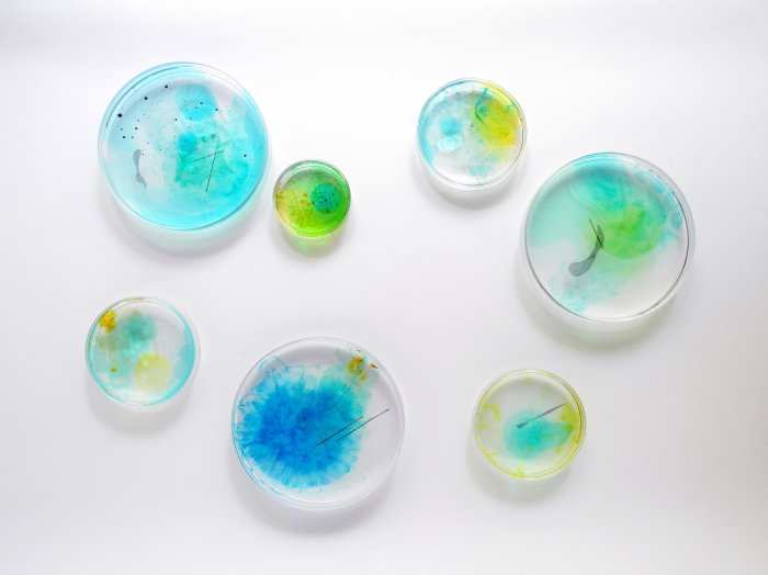 浮游行星/2015（直徑15cm-數件(售價為單件售價)）