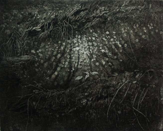 decayI-III/2016（20x25cm，第3件）